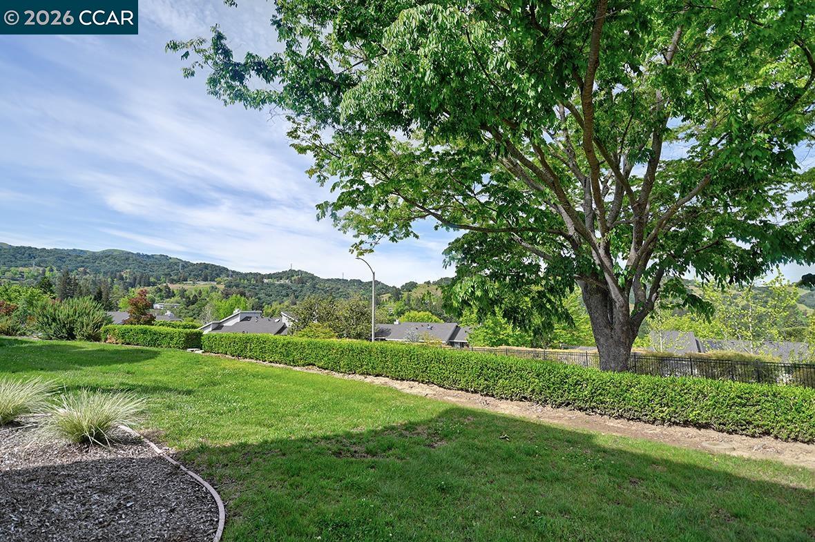 Photo #7: 41131194 Listing: Photo #7