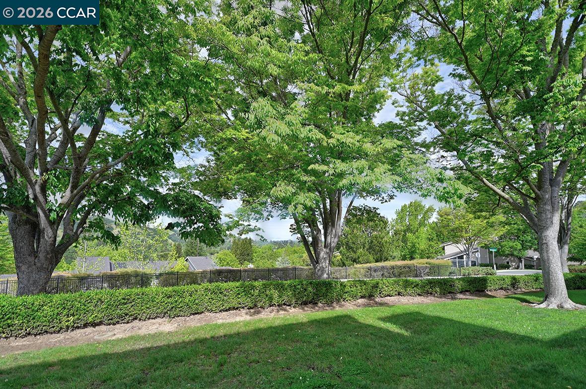 Photo #8: 41131194 Listing: Photo #8