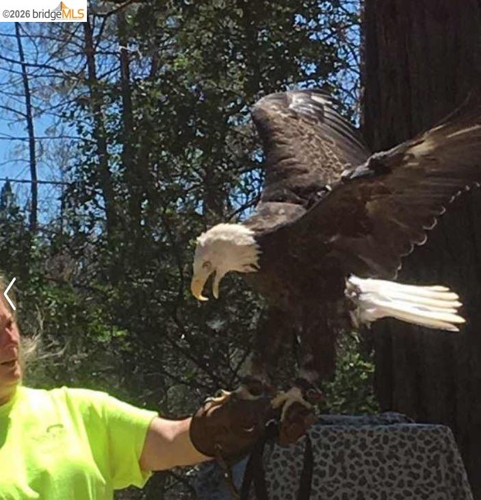 21211 Jimmersall Lane, Groveland, CA, 95321