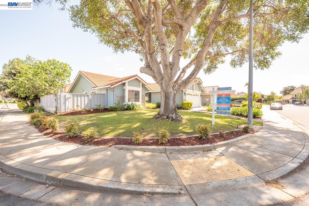 4566 Fellows St, Union City, CA, 94587