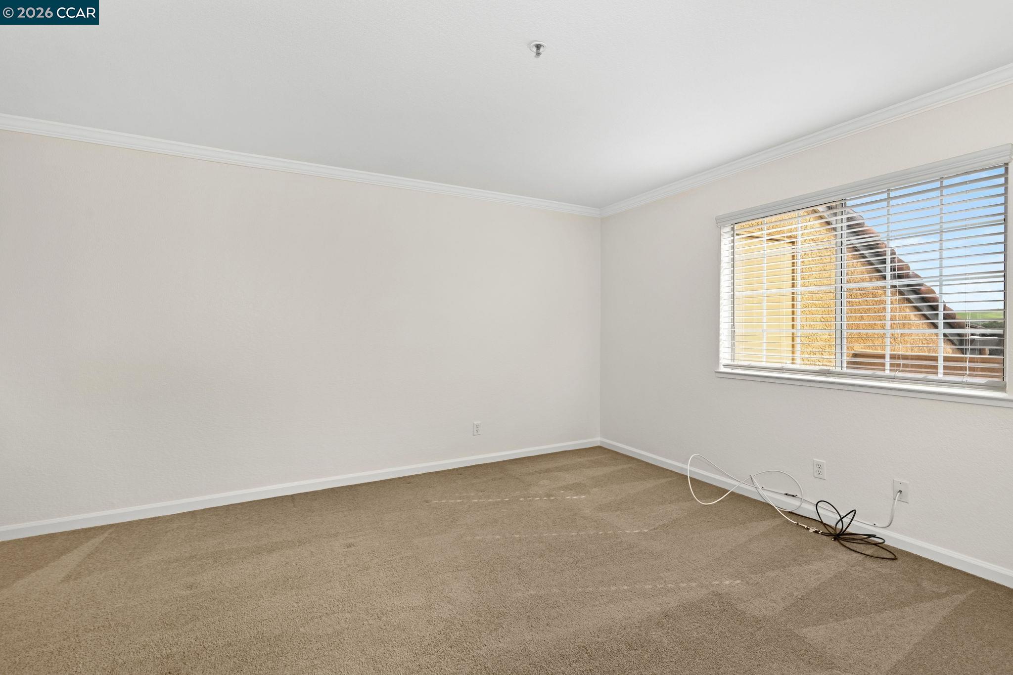 Photo #5: 41131229 Listing: Photo #5