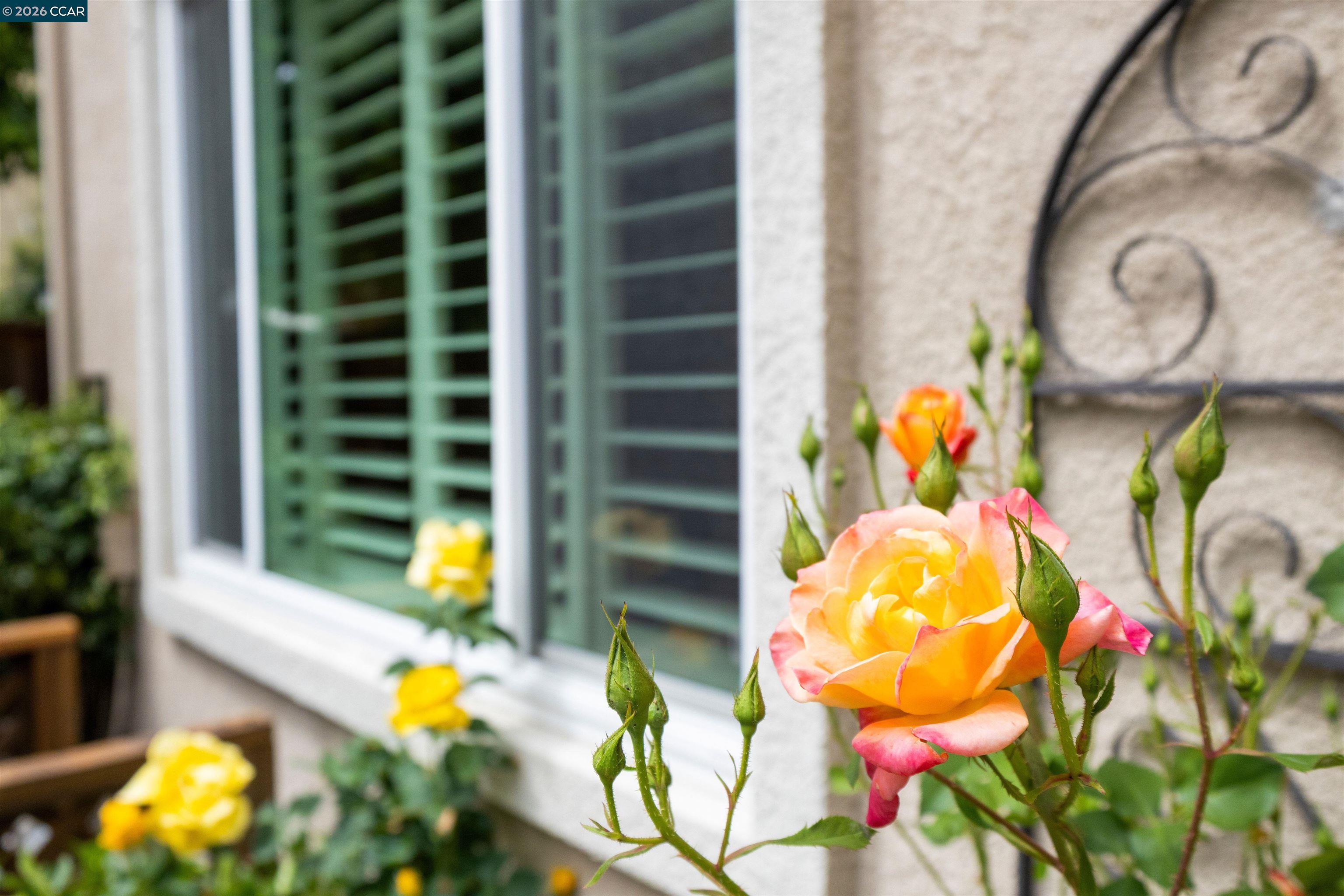 Photo #36: 41131247 Listing: Photo #36