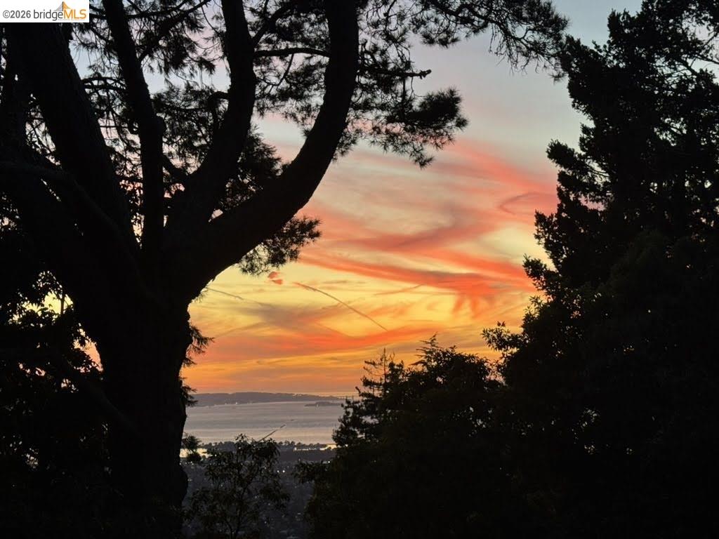 Detail Gallery Image 51 of 52 For 1170 Sterling Ave, Berkeley,  CA 94708 - 4 Beds | 3 Baths