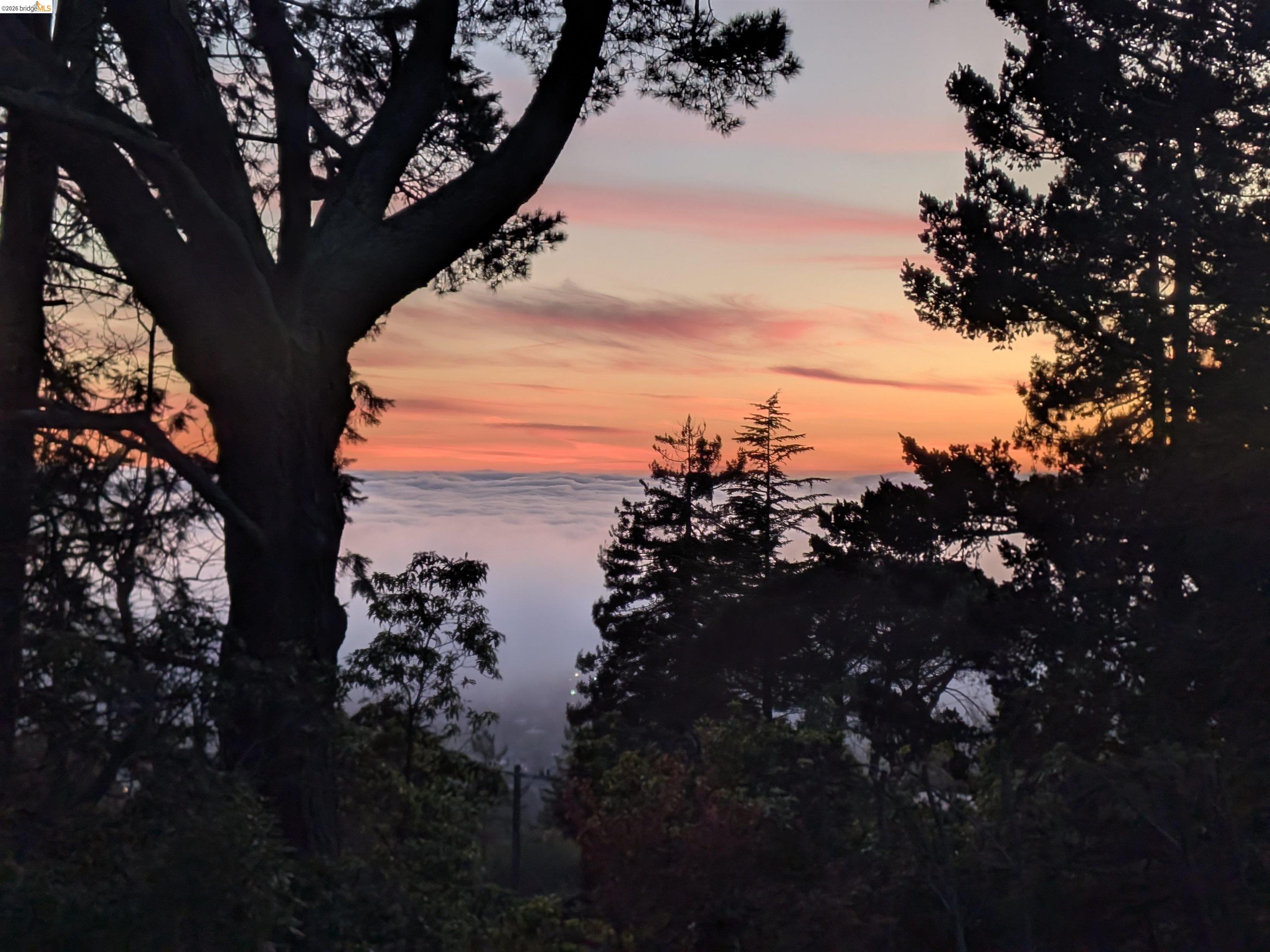 Detail Gallery Image 52 of 52 For 1170 Sterling Ave, Berkeley,  CA 94708 - 4 Beds | 3 Baths