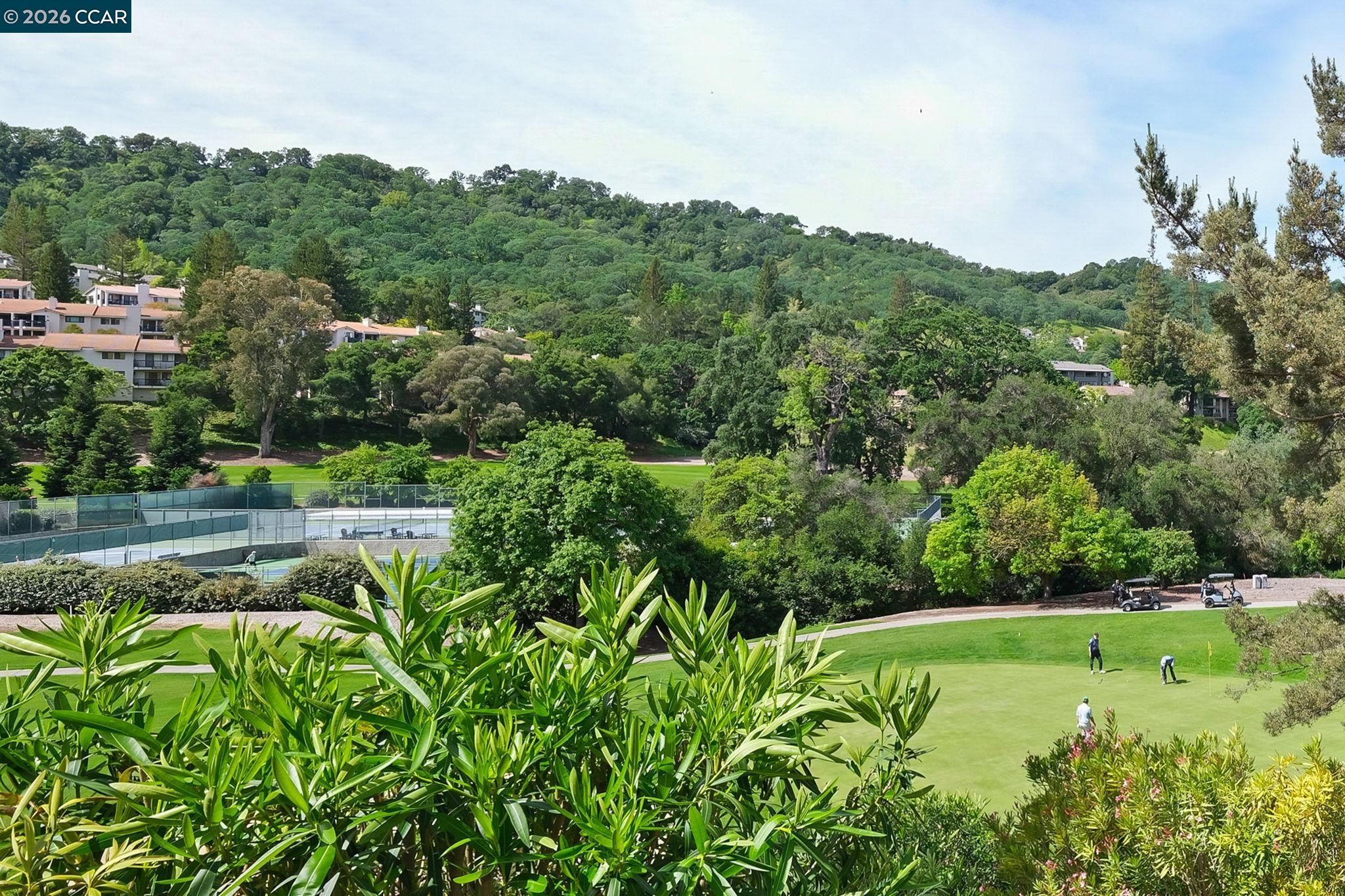 Photo #12: 41131252 Listing: Photo #12