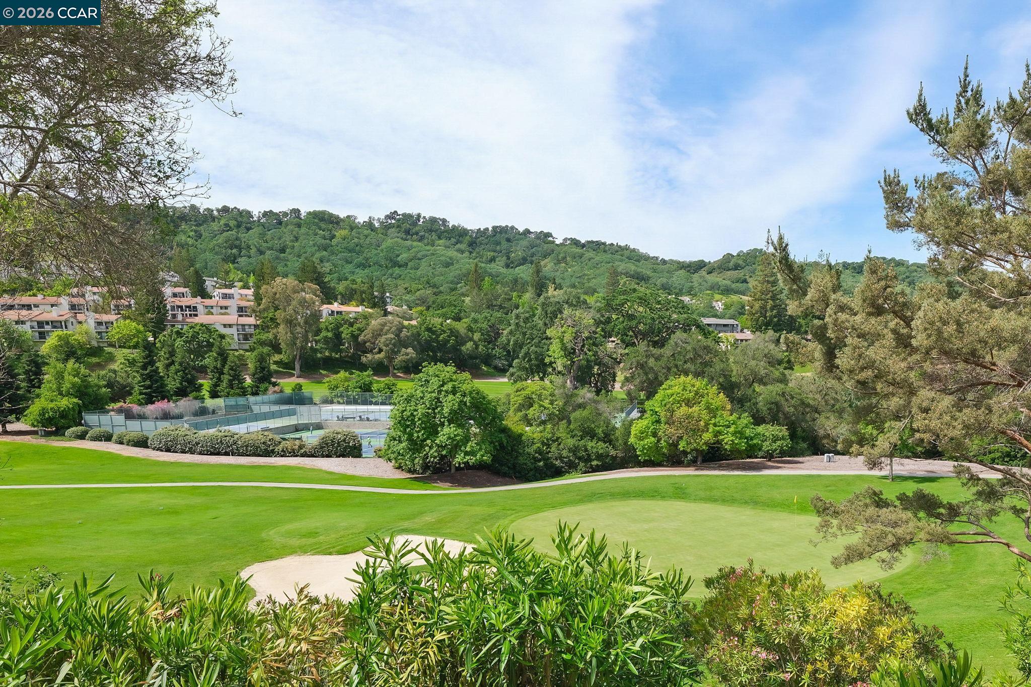 Photo #13: 41131252 Listing: Photo #13