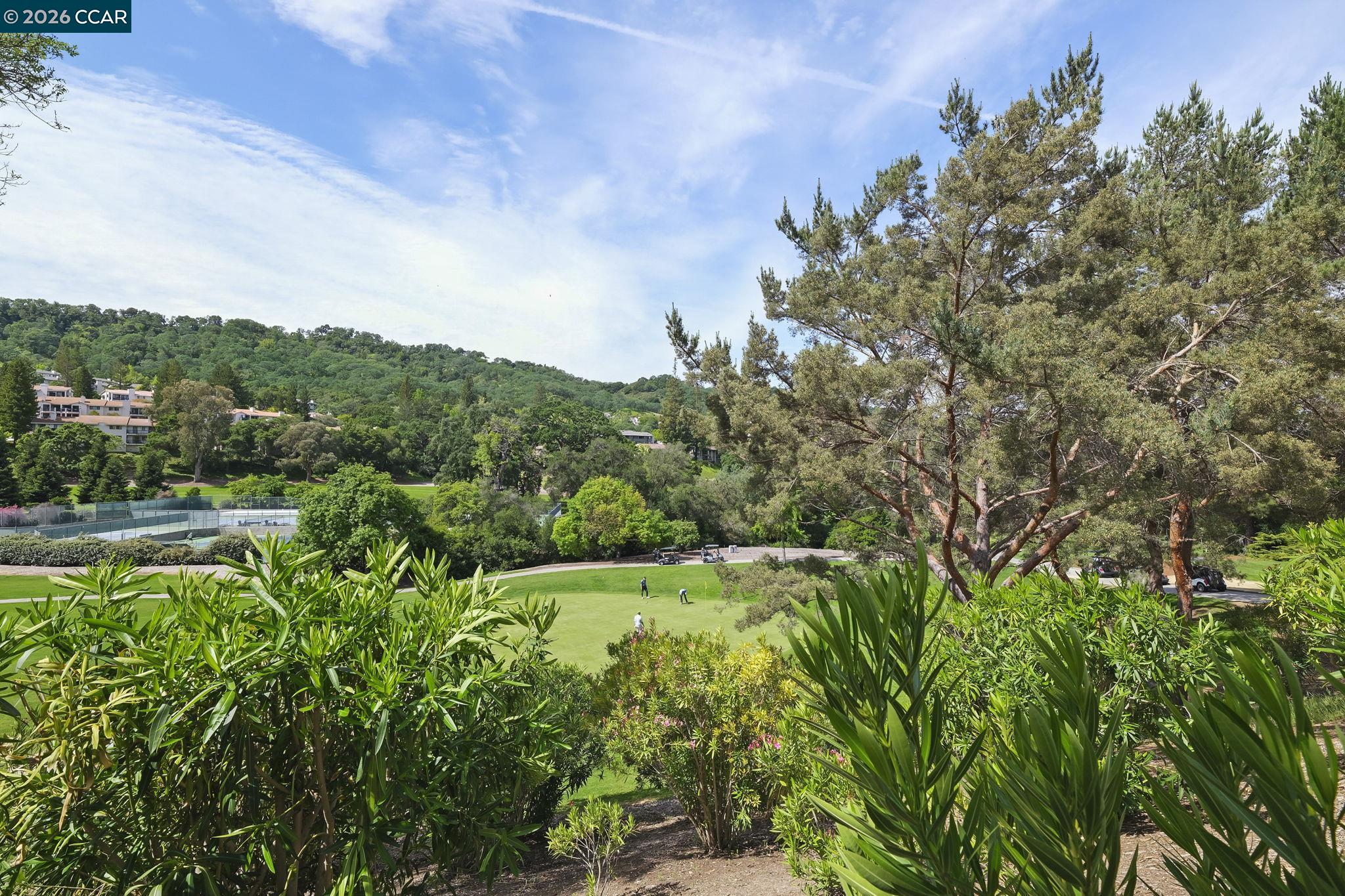 Photo #10: 41131252 Listing: Photo #10