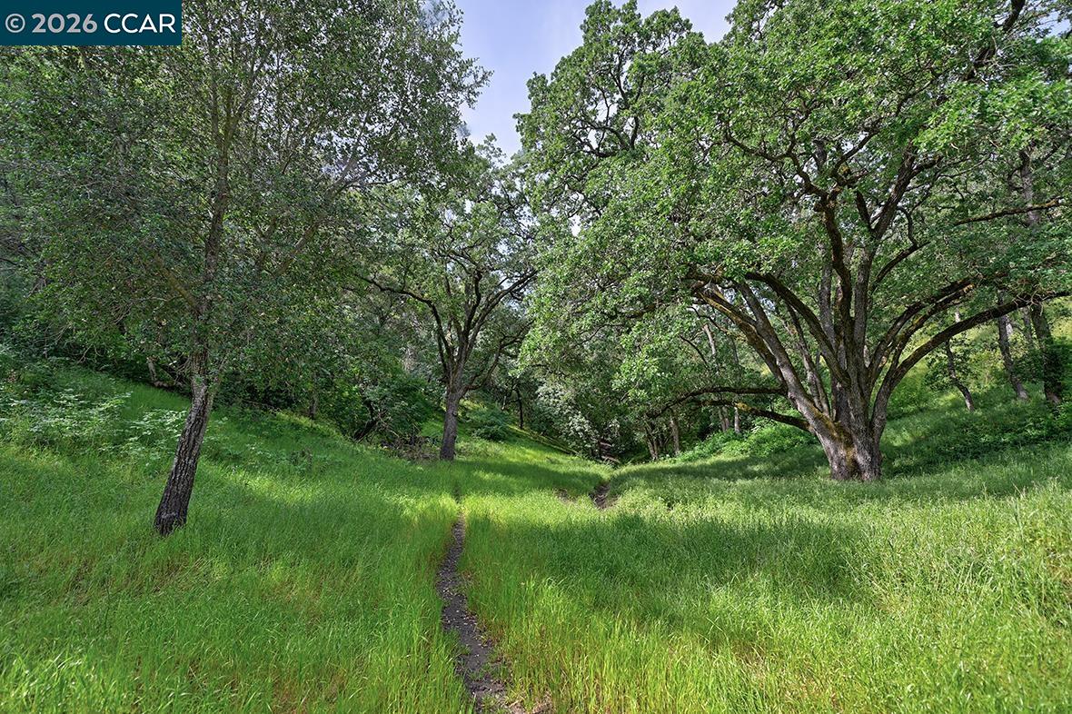 Photo #37: 41131271 Listing: Photo #37