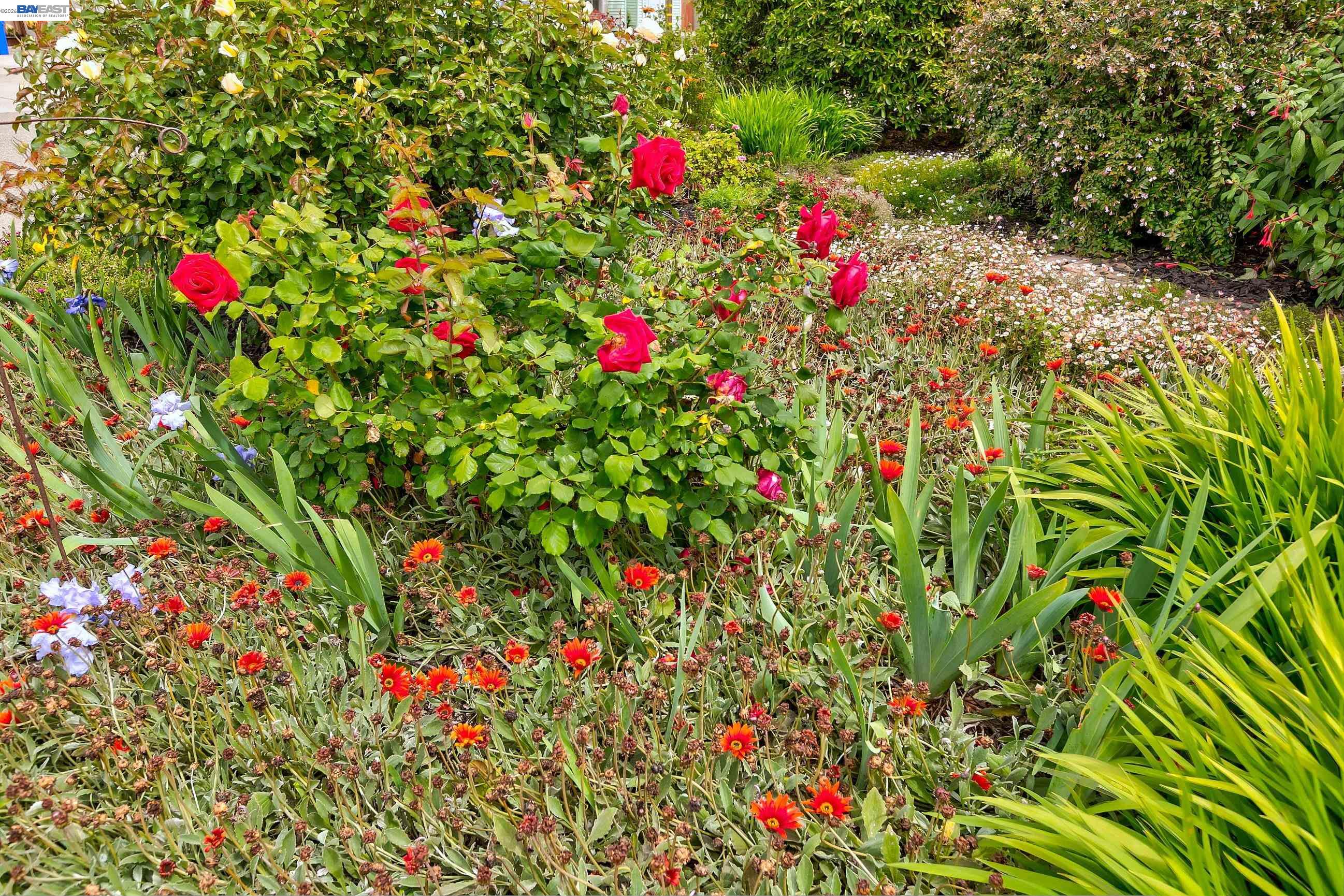 Detail Gallery Image 5 of 51 For 1428 Abbey Ave, San Leandro,  CA 94579 - 3 Beds | 2/1 Baths