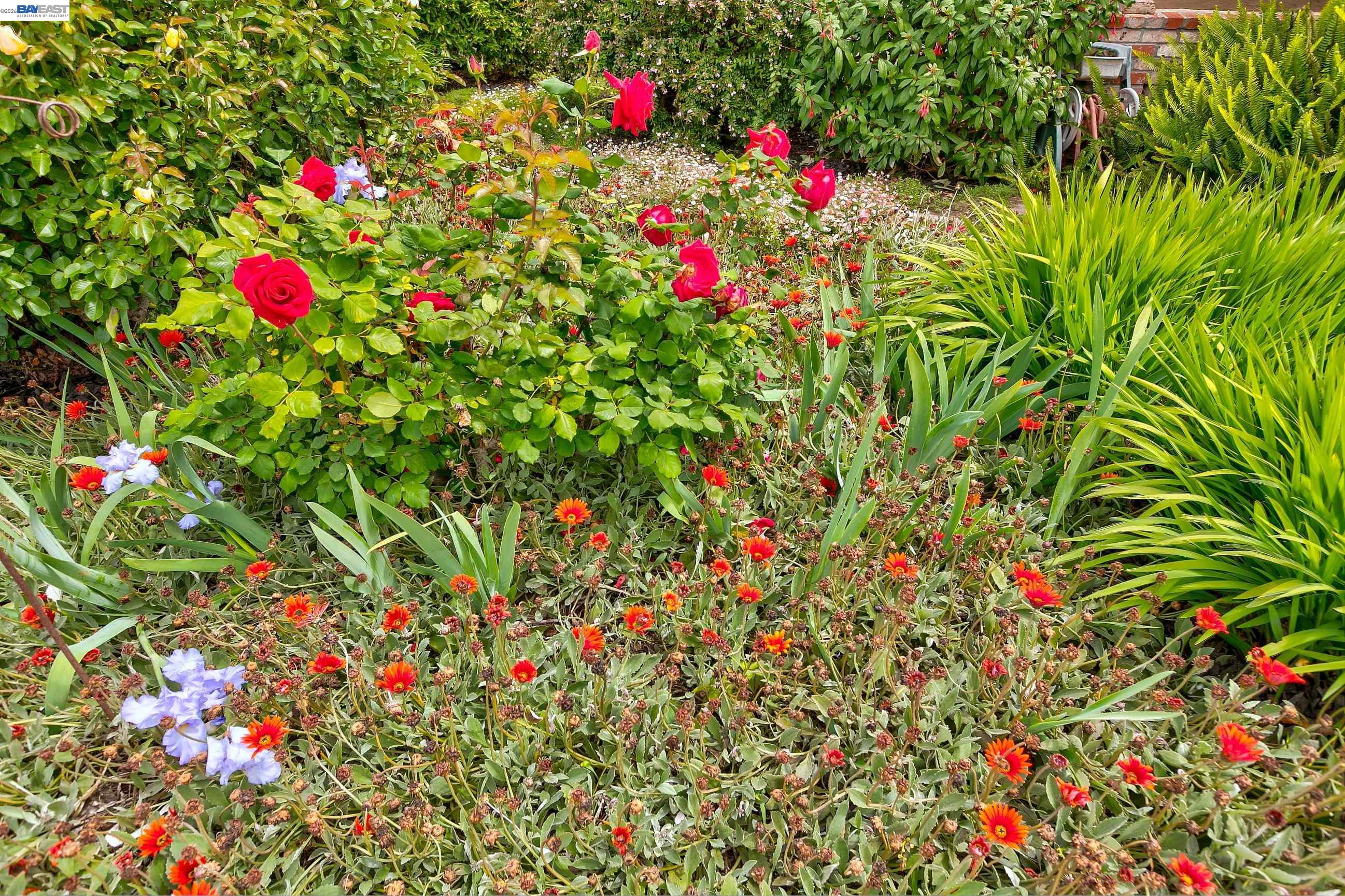 Detail Gallery Image 6 of 51 For 1428 Abbey Ave, San Leandro,  CA 94579 - 3 Beds | 2/1 Baths