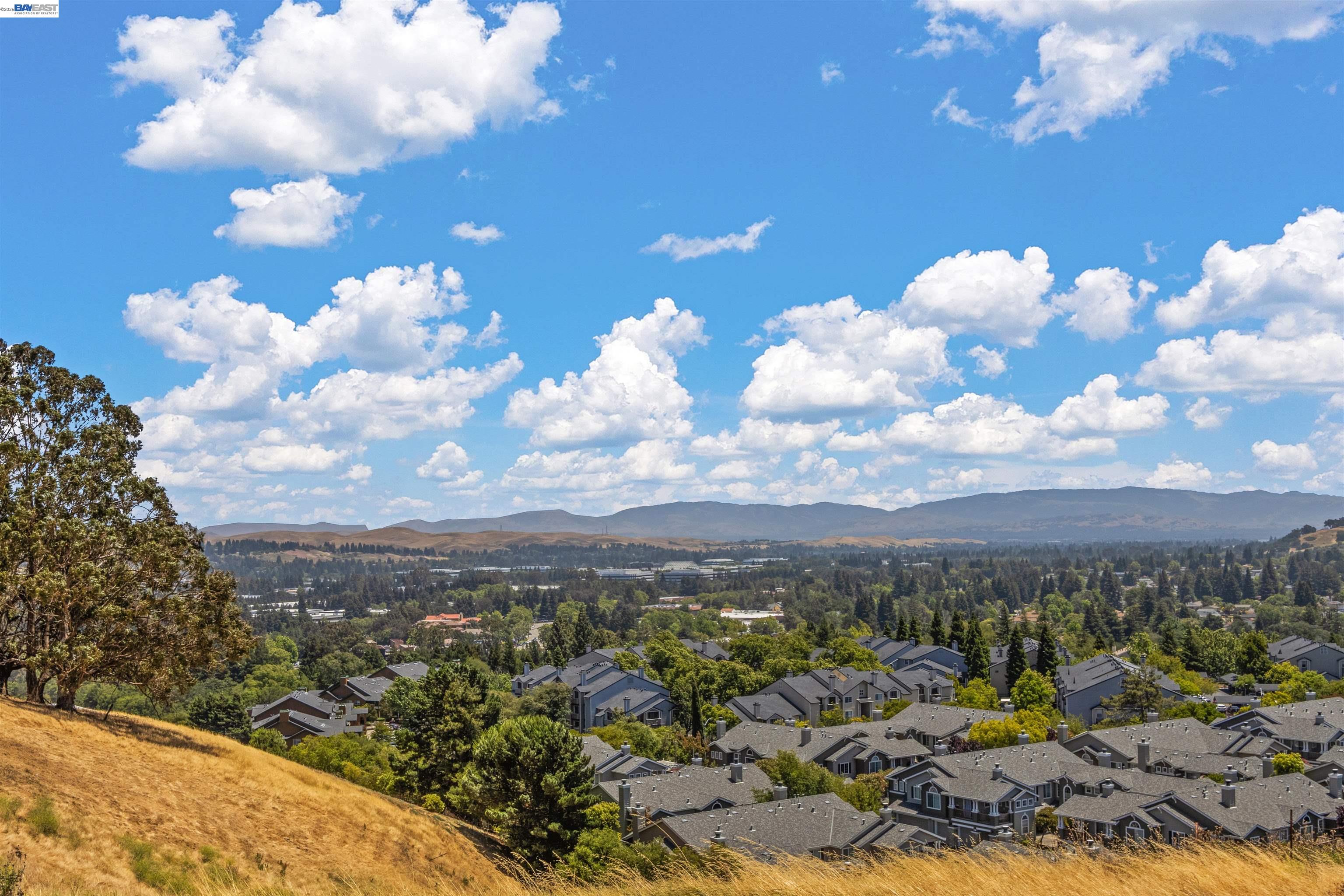 Detail Gallery Image 48 of 59 For 1311 Amalfi Ct, San Ramon,  CA 94583 - 4 Beds | 3 Baths