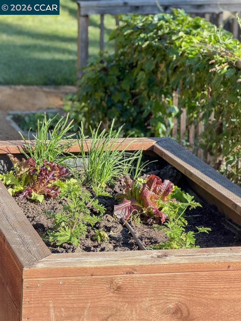 Detail Gallery Image 36 of 43 For 6555 Saroni Dr, Oakland,  CA 94611 - 3 Beds | 2 Baths