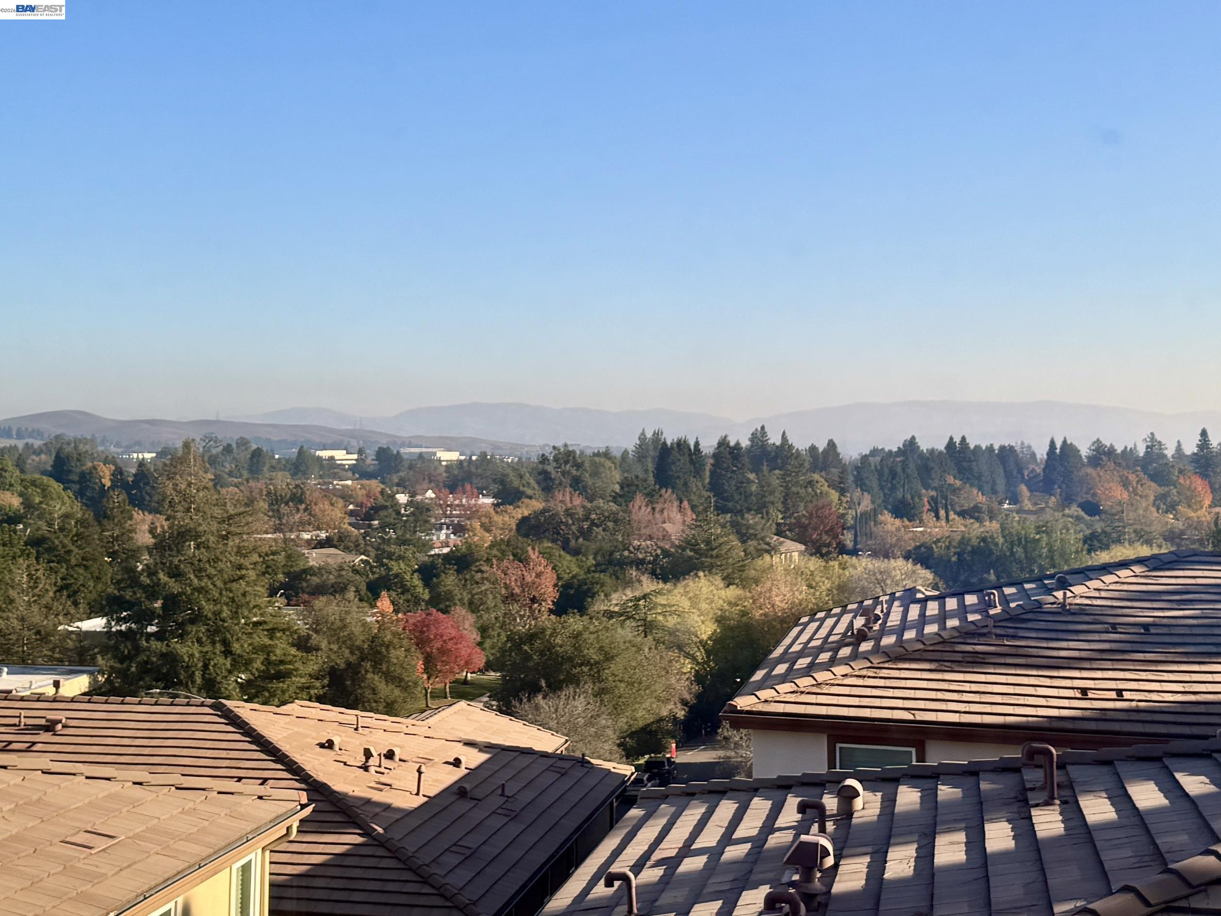 Photo #19: 41131317 Listing: Photo #19