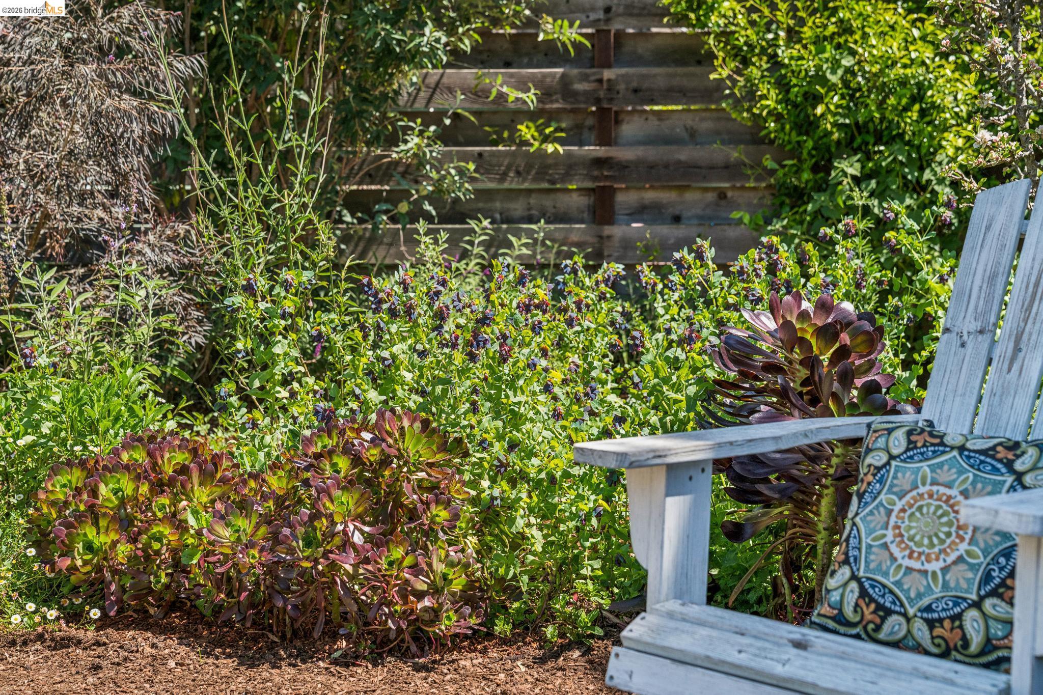 Detail Gallery Image 32 of 37 For 2323 Browning St, Berkeley,  CA 94702 - 3 Beds | 1 Baths