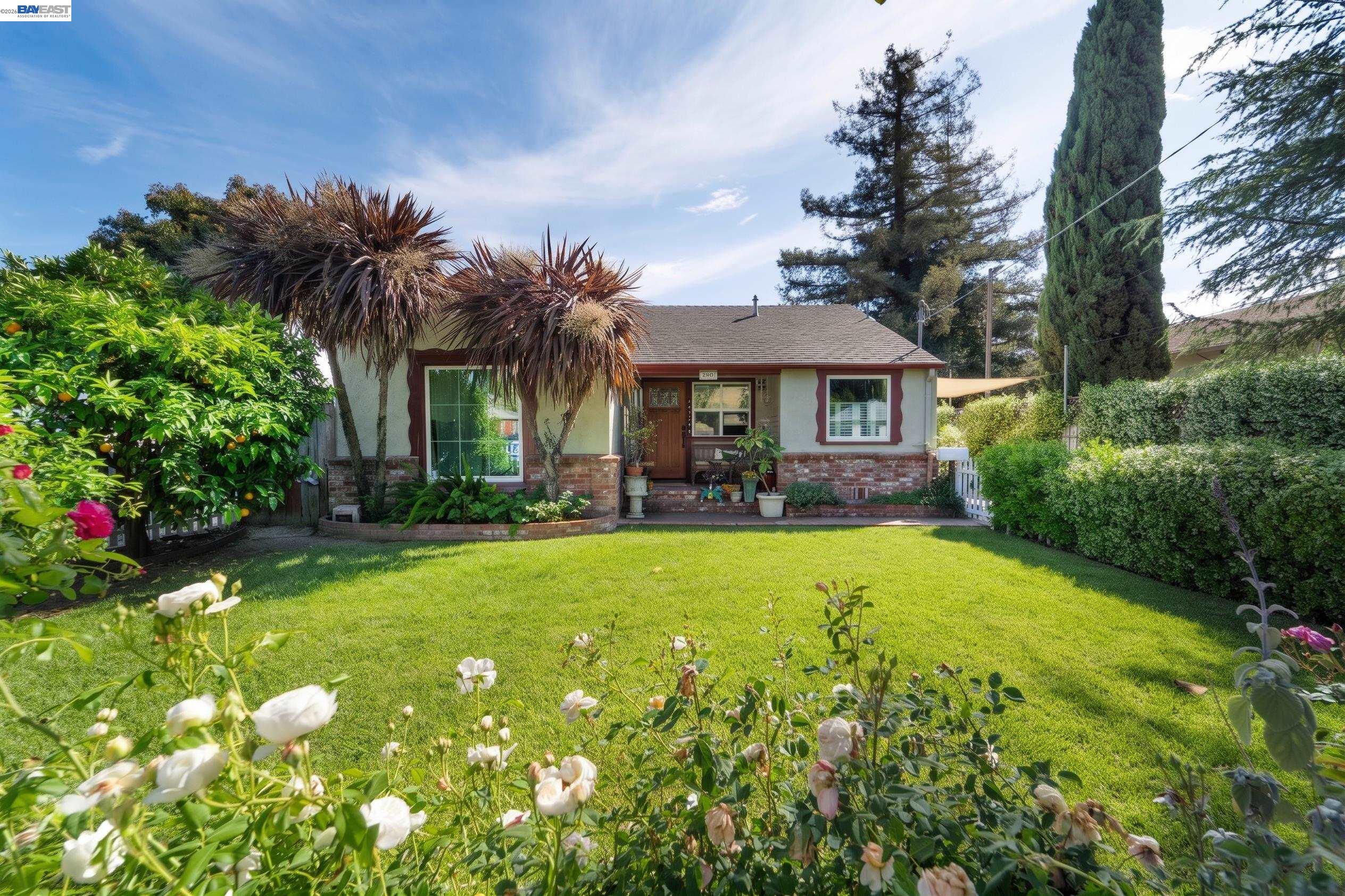 Front Image Thumbnail for BE41131408