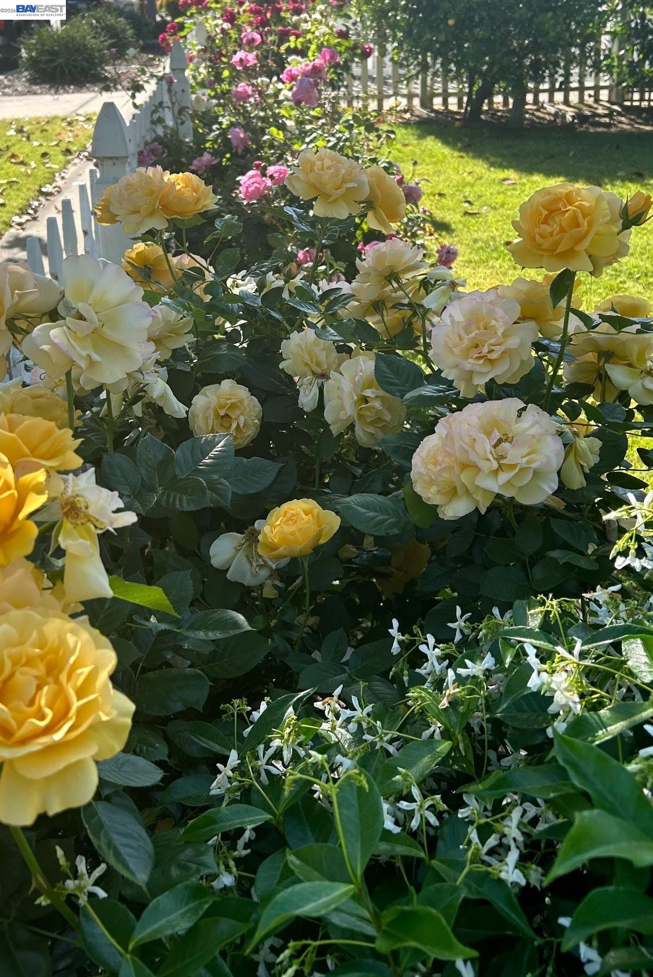 Detail Gallery Image 3 of 57 For 37955 2nd St, Fremont,  CA 94536 - 3 Beds | 2 Baths