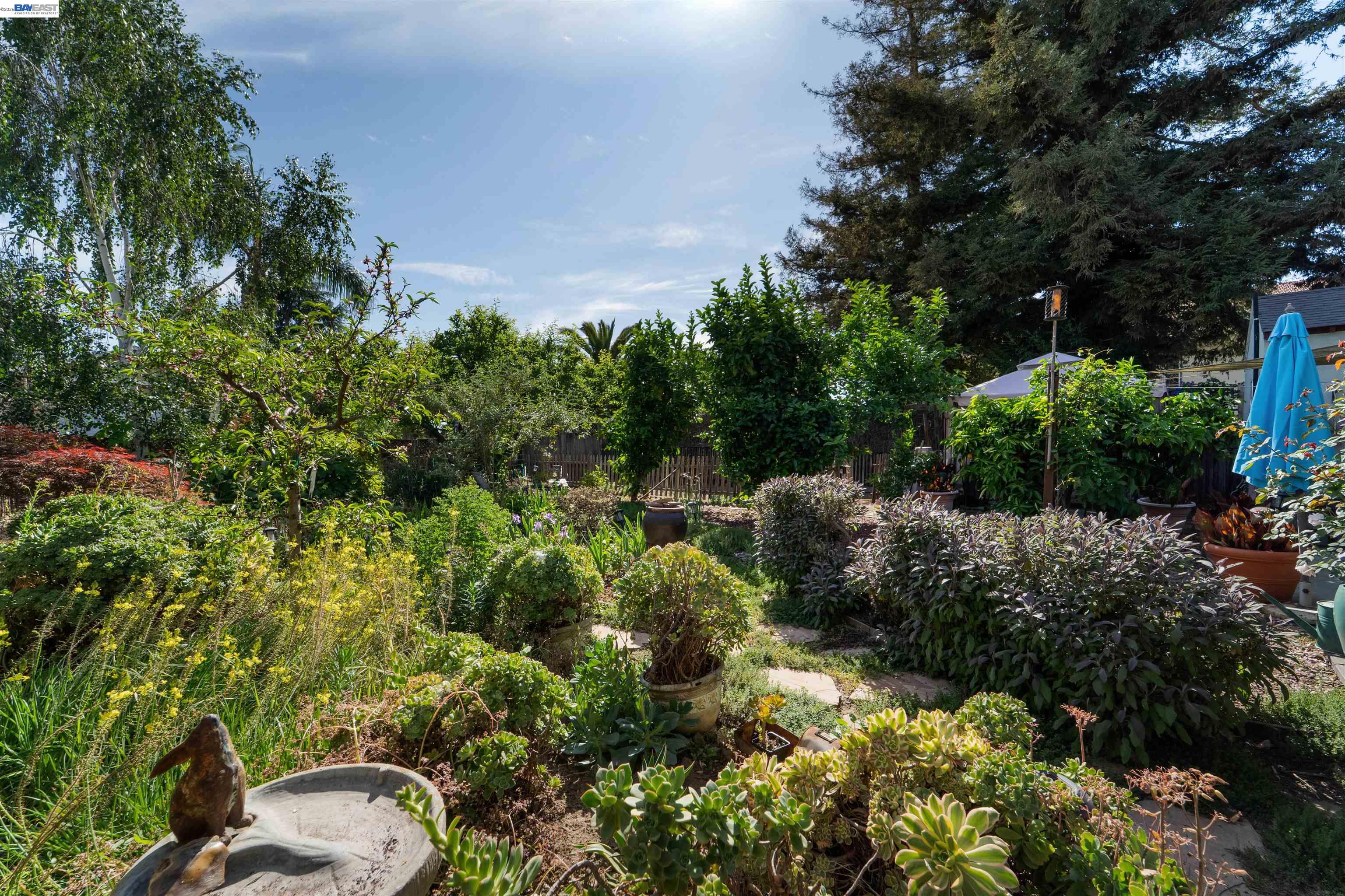 Detail Gallery Image 42 of 57 For 37955 2nd St, Fremont,  CA 94536 - 3 Beds | 2 Baths