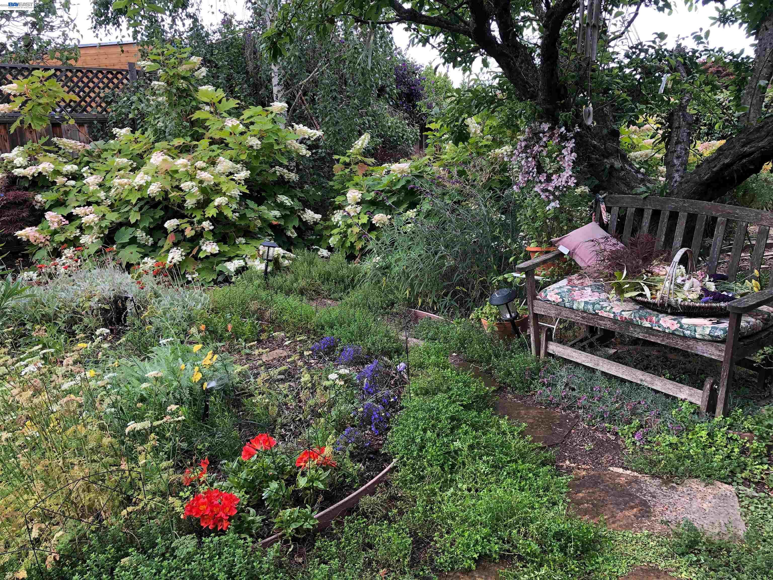 Detail Gallery Image 44 of 57 For 37955 2nd St, Fremont,  CA 94536 - 3 Beds | 2 Baths