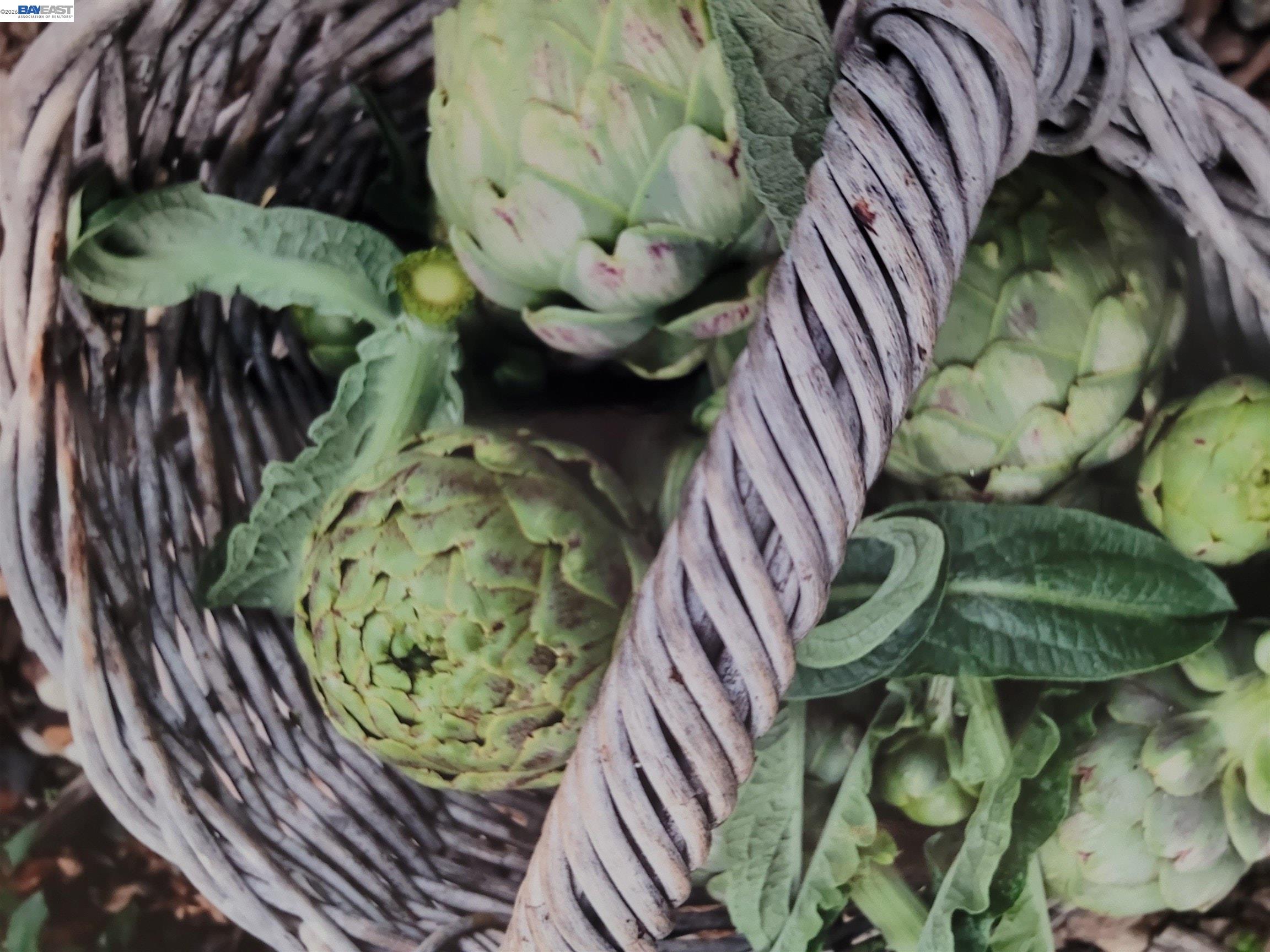 Detail Gallery Image 48 of 57 For 37955 2nd St, Fremont,  CA 94536 - 3 Beds | 2 Baths