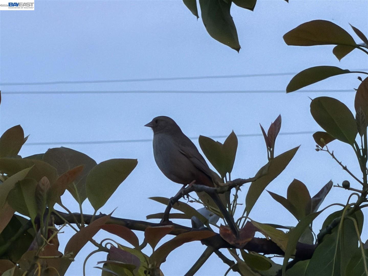 2242 39Th Ave, Oakland, CA, 94601