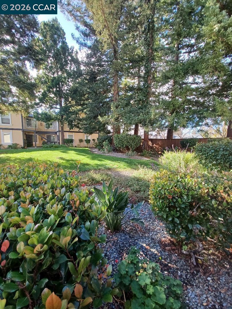 Photo #18: 41131423 Listing: Photo #18