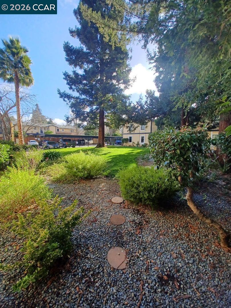 Photo #19: 41131423 Listing: Photo #19