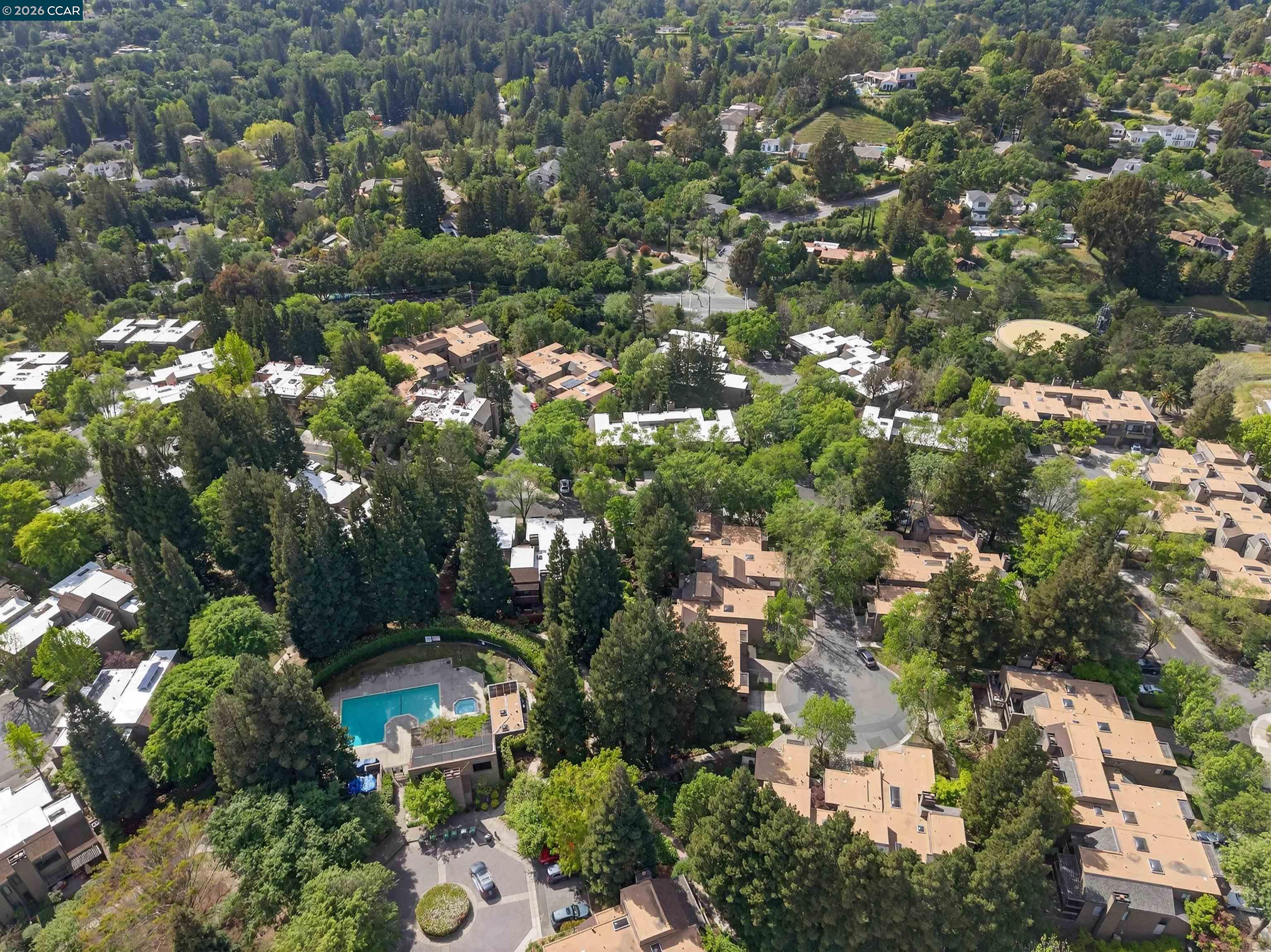 Photo #21: 41131454 Listing: Photo #21