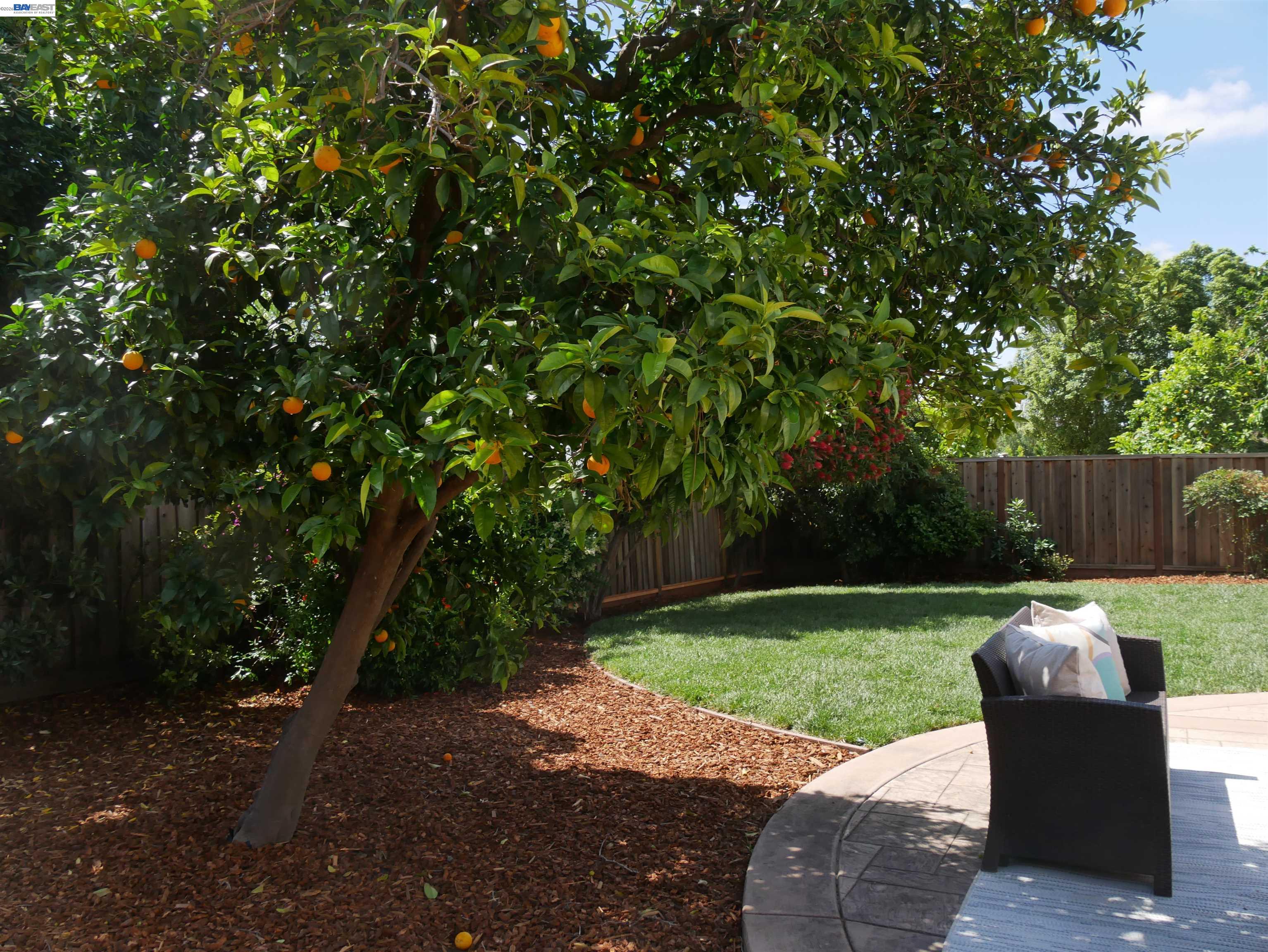 Detail Gallery Image 40 of 43 For 249 Imperio Avenue, Alameda,  CA 94539 - 4 Beds | 2 Baths