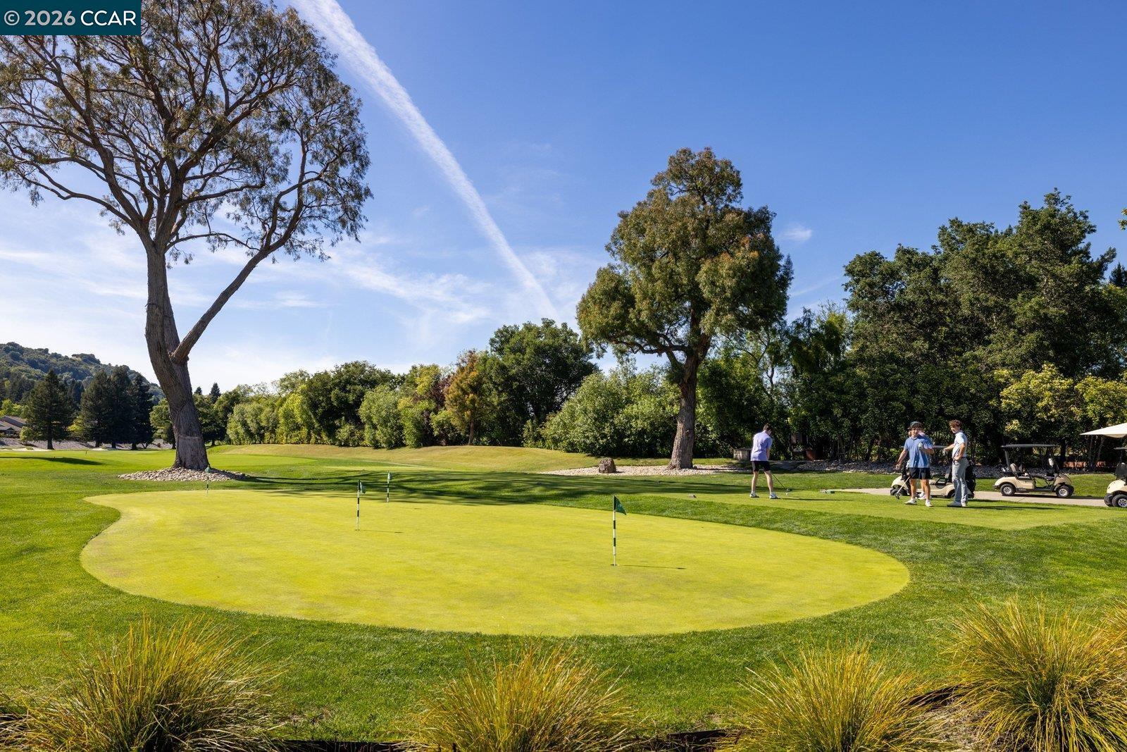 Photo #54: 41131470 Listing: Photo #54