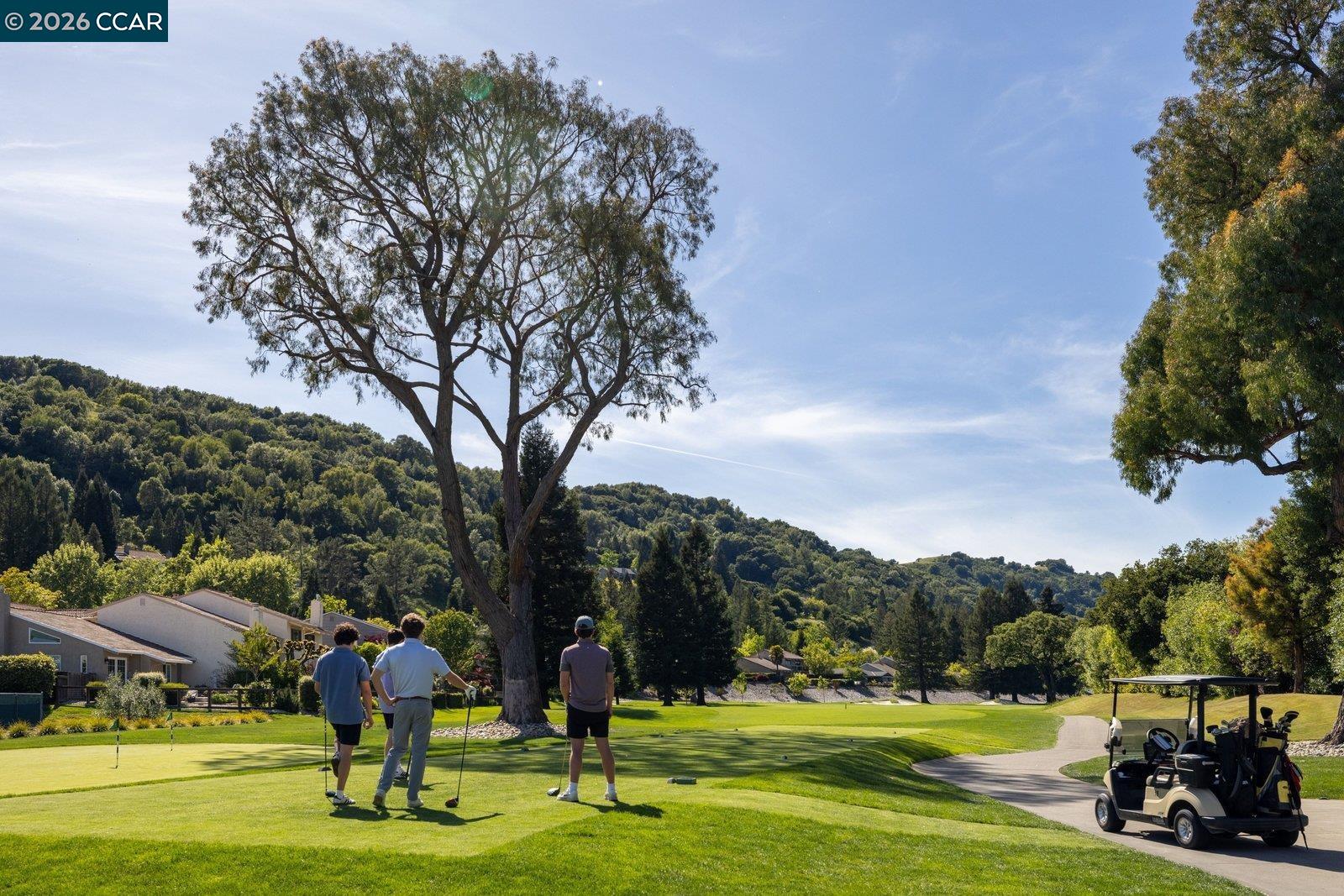 Photo #55: 41131470 Listing: Photo #55