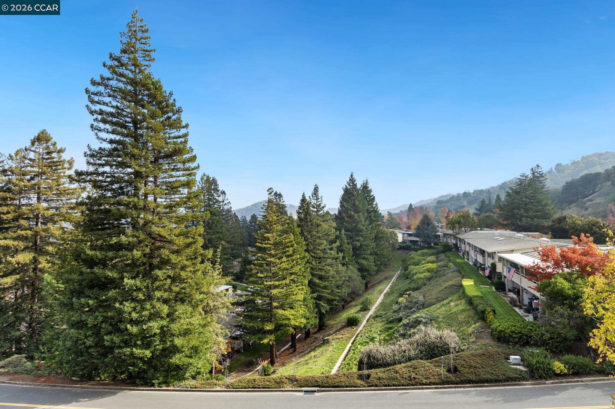 Photo #24: 41131509 Listing: Photo #24