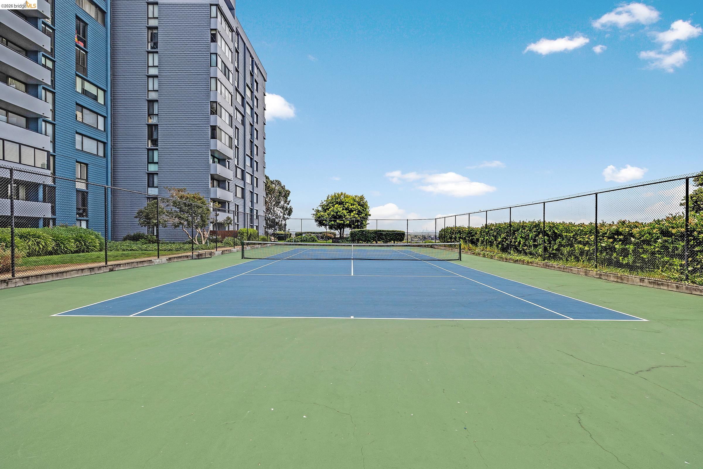 Photo #20: 41131511 Listing: Photo #20