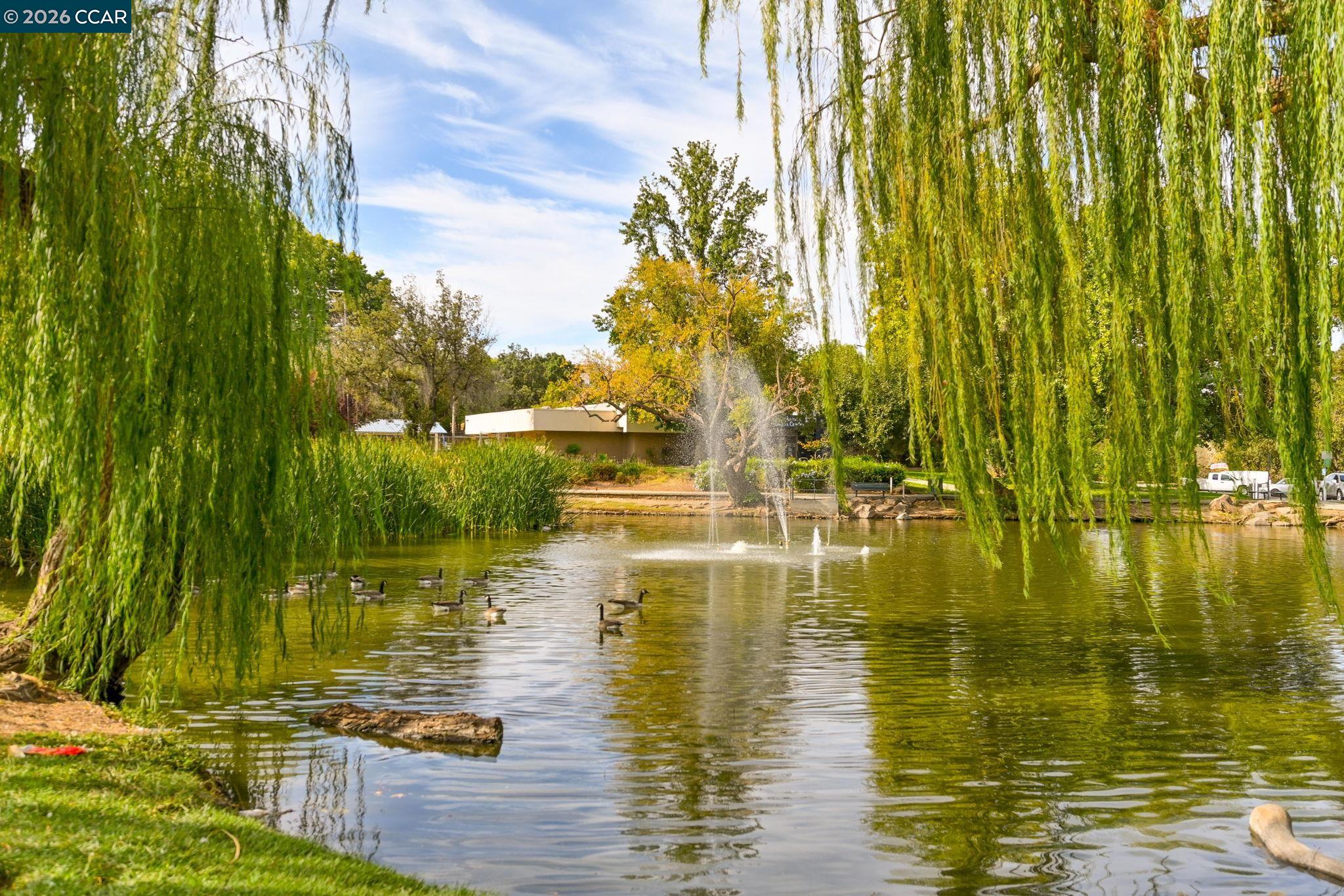 Detail Gallery Image 33 of 38 For 3133 Cortina, Bay Point,  CA 94565 - 5 Beds | 4 Baths