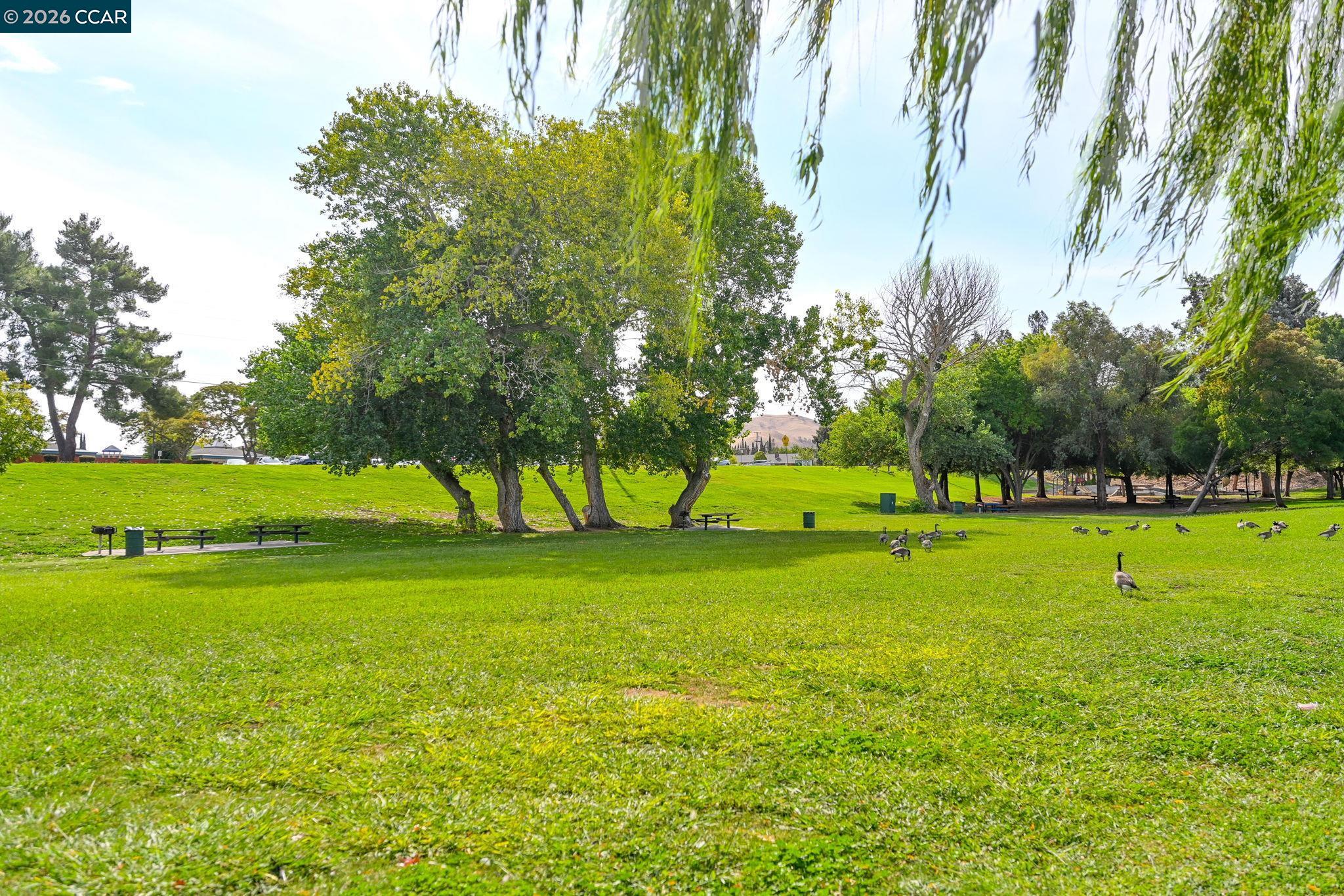 Detail Gallery Image 34 of 38 For 3133 Cortina, Bay Point,  CA 94565 - 5 Beds | 4 Baths