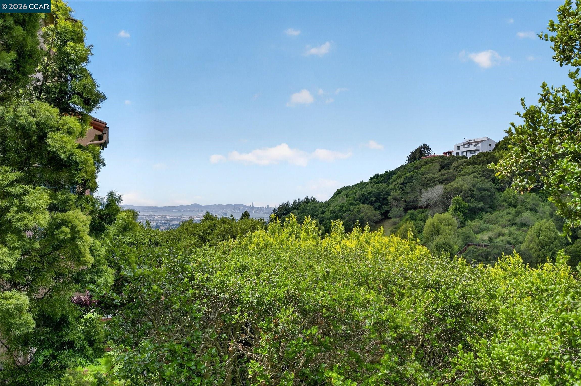 Detail Gallery Image 40 of 55 For 21 Live Oak Rd, Berkeley,  CA 94705 - 4 Beds | 3/1 Baths