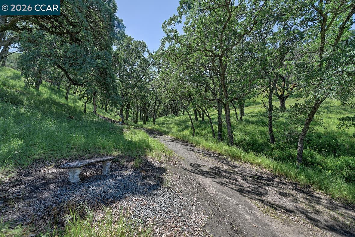 3425 Terra Granada Dr # 2B, Walnut Creek CA 94595