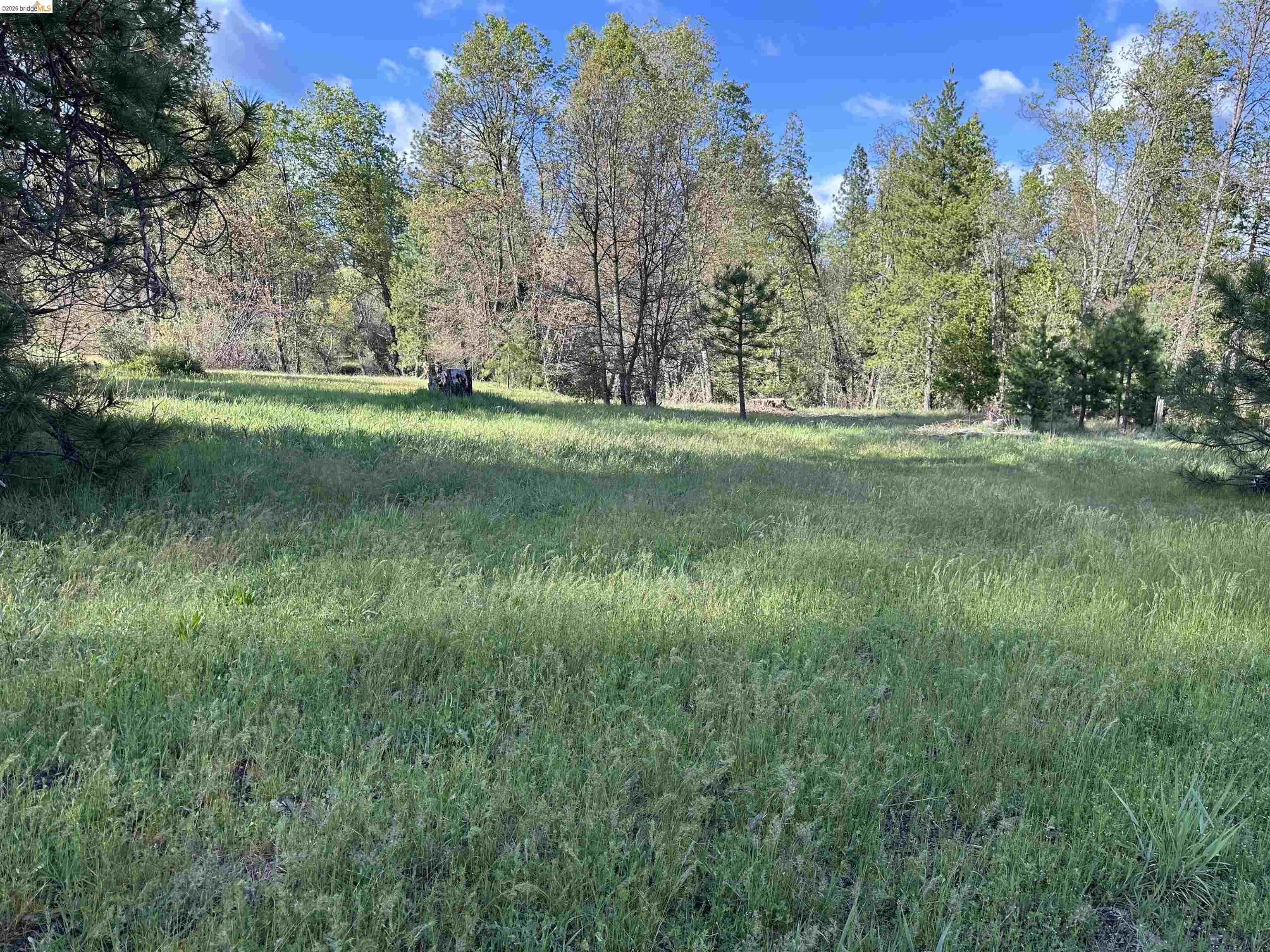 6354 Lone Oak Dr, Coulterville CA 95311 — photo 2