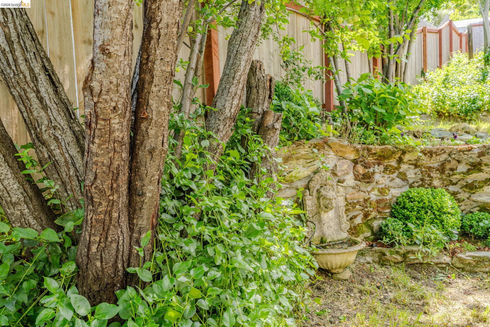 1298 Bush Street, Angels Camp, CA, 95222