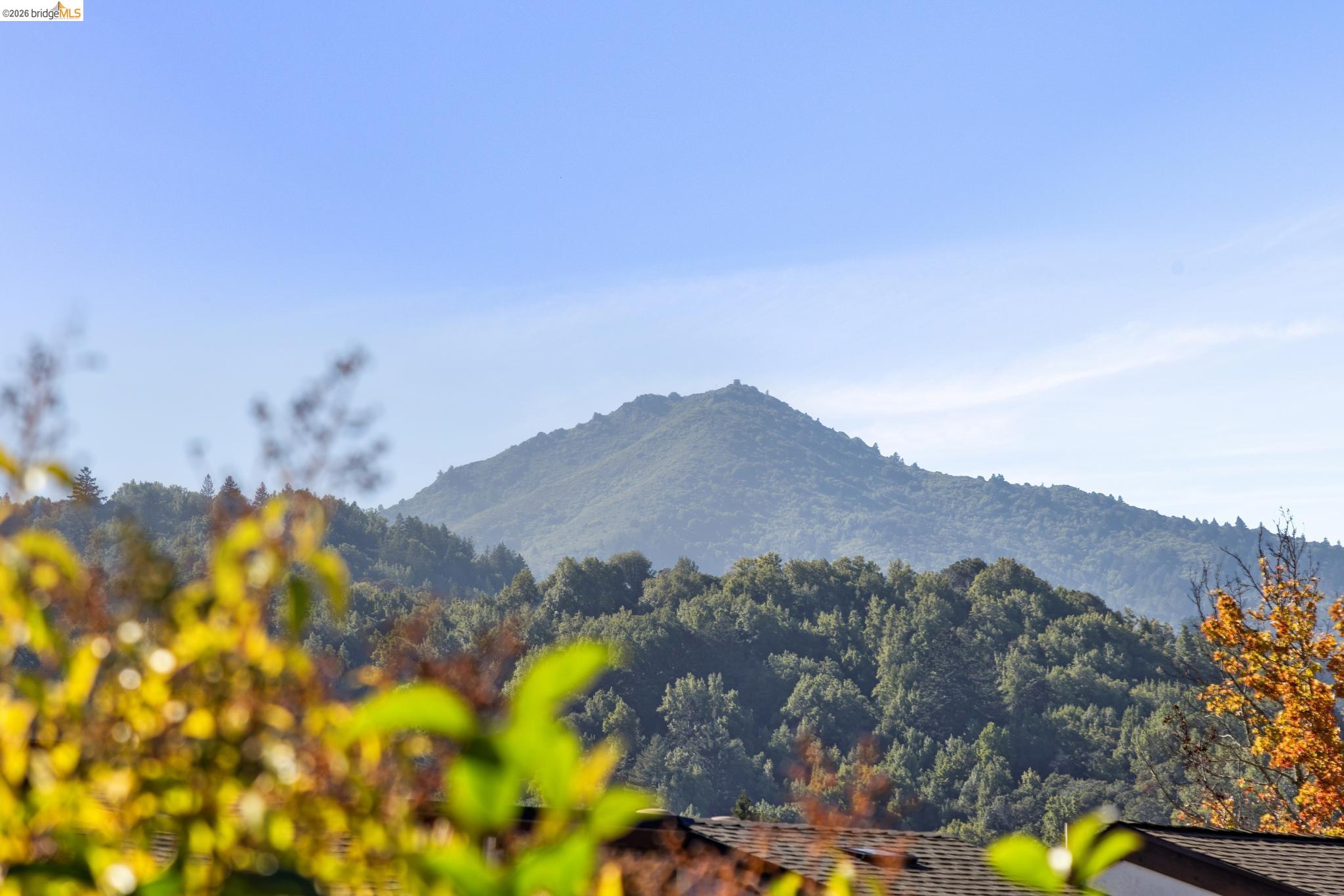 Detail Gallery Image 41 of 41 For 45 Corte Real #1,  Larkspur,  CA 94904 - 2 Beds | 1/1 Baths