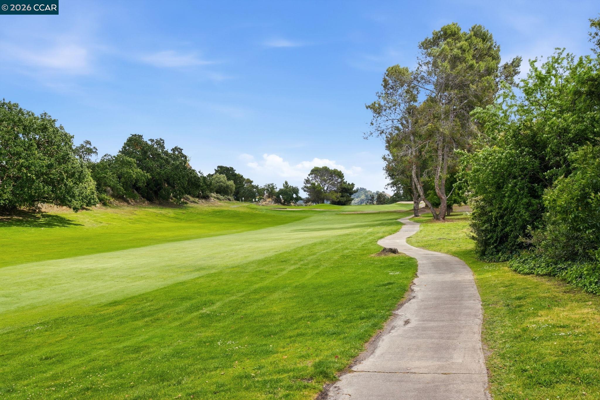 Front Image Thumbnail for CC41131566