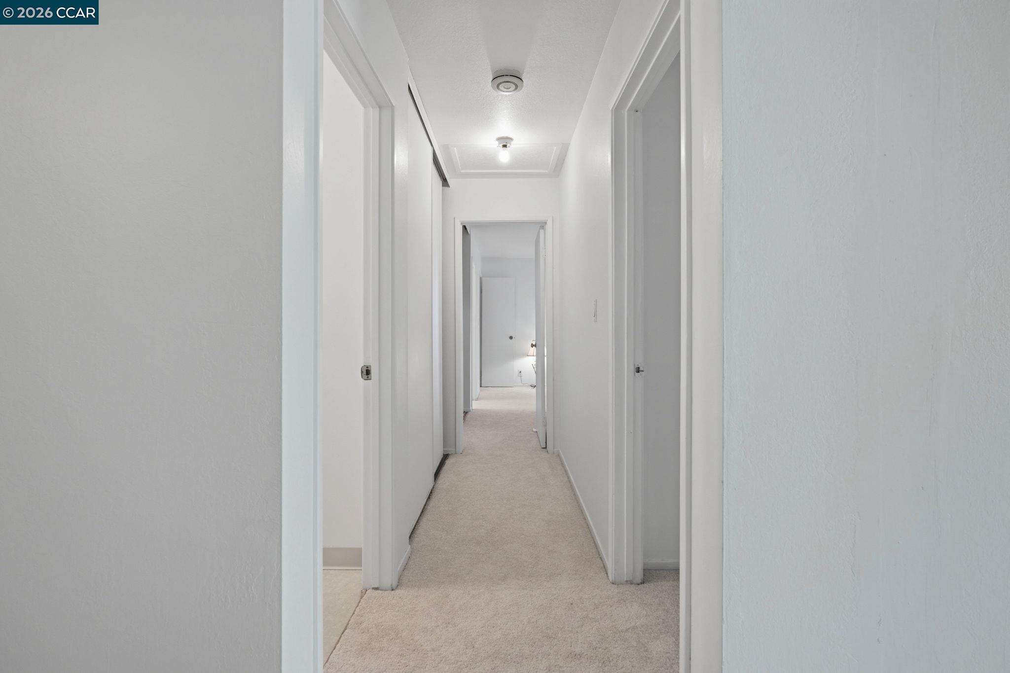 Photo #24: 41131566 Listing: Photo #24