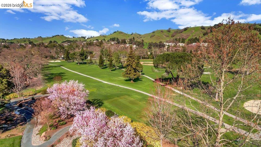 Photo #24: 41131571 Listing: Photo #24