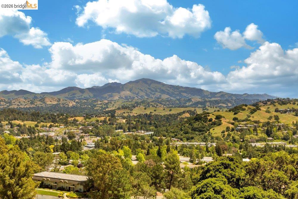 Photo #28: 41131571 Listing: Photo #28