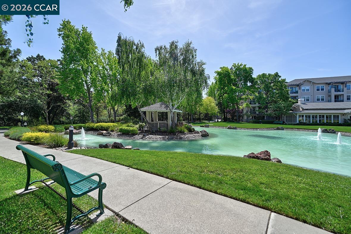 Photo #33: 41131583 Listing: Photo #33