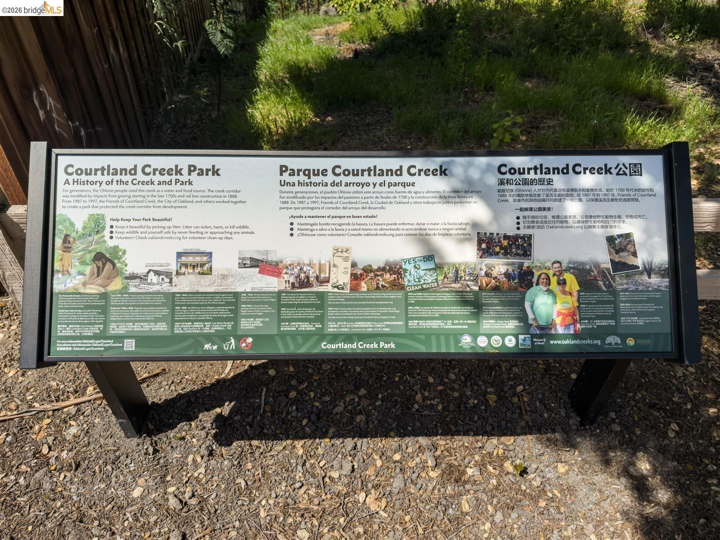 Photo #40: 41131589 Listing: Photo #40