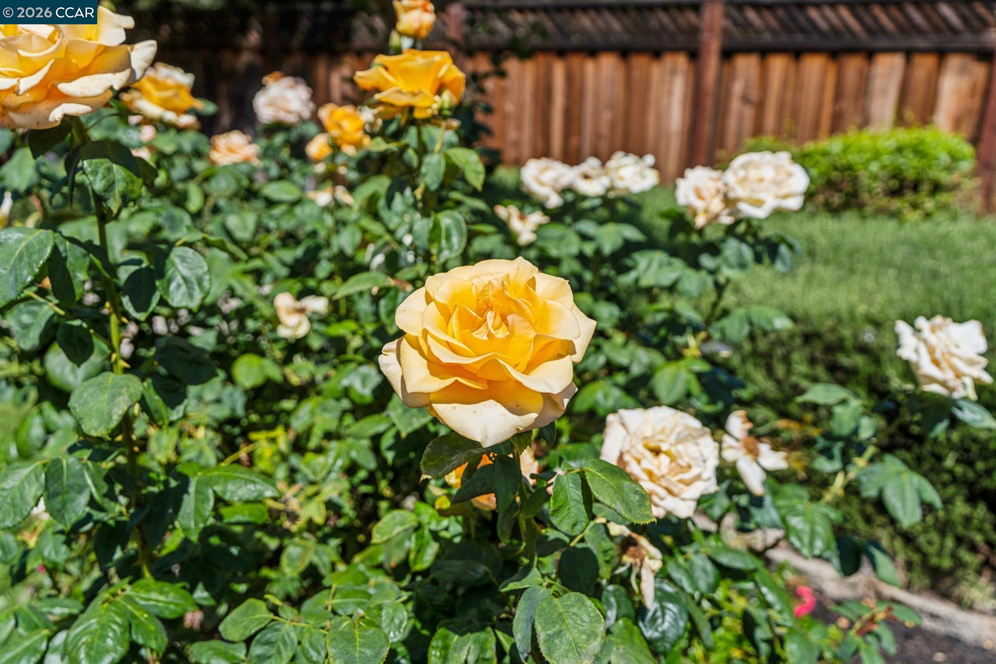 1869 Renee Way, Concord, CA, 94521