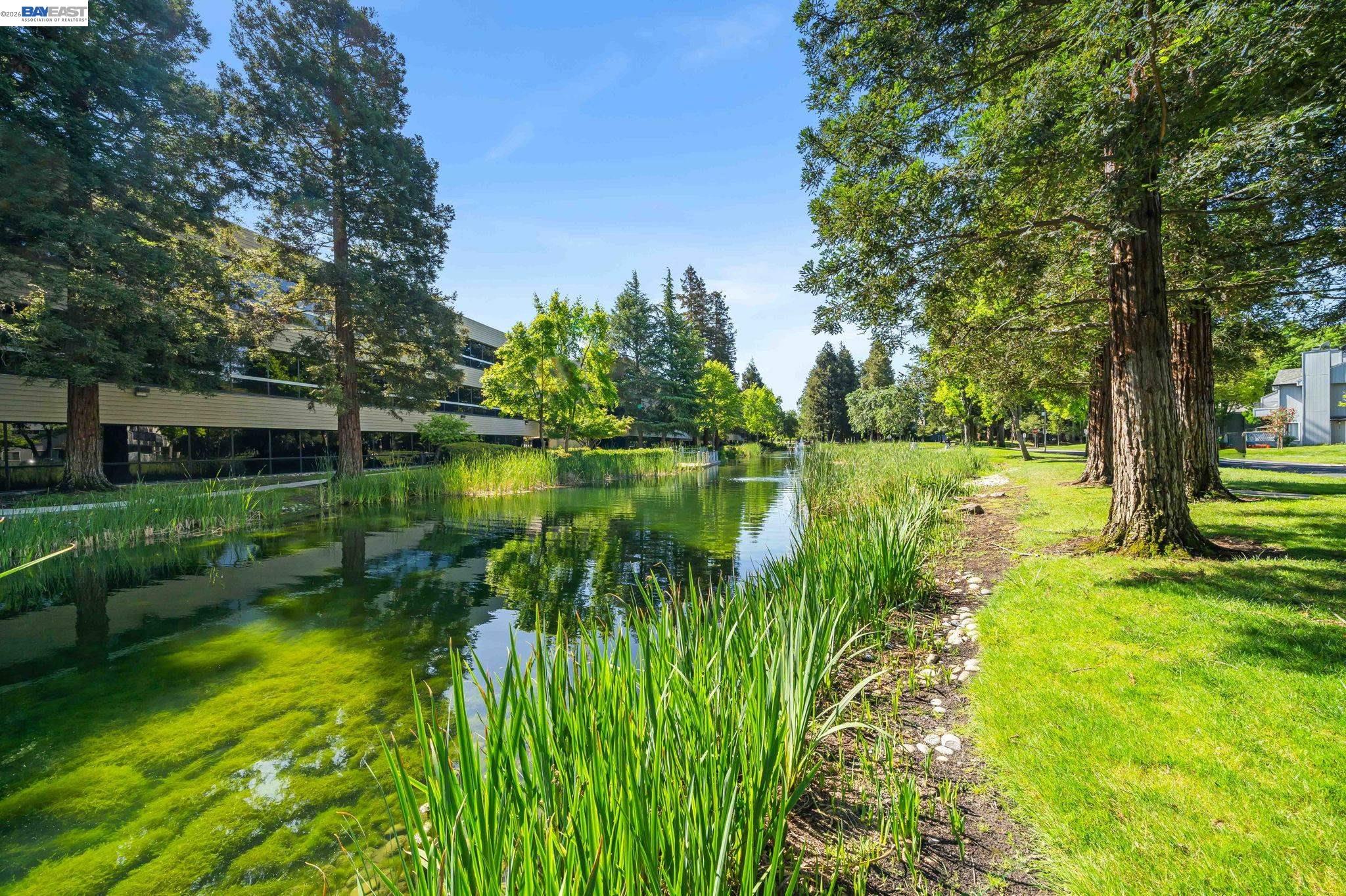 Photo #35: 41131602 Listing: Photo #35