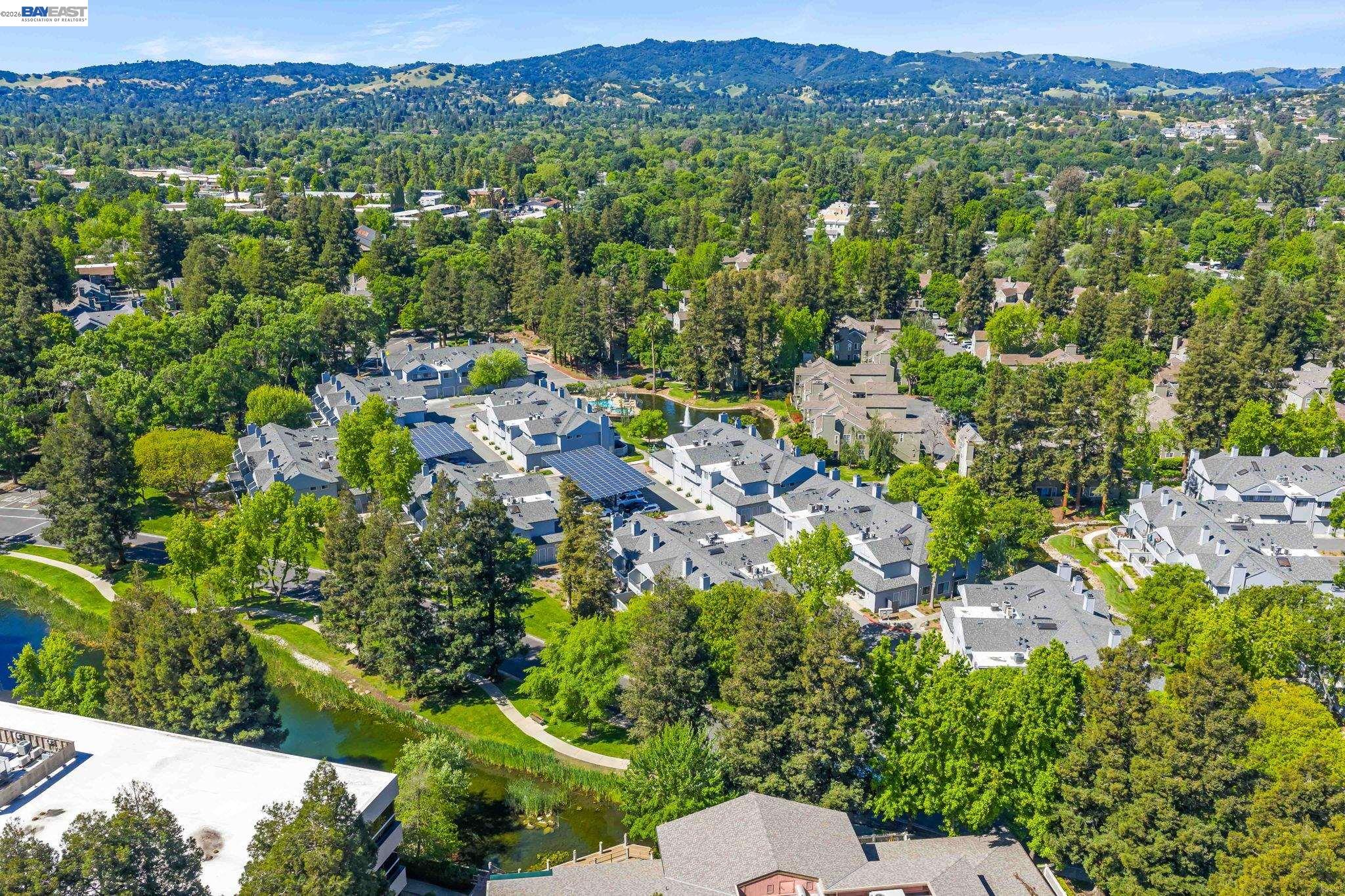 Photo #49: 41131602 Listing: Photo #49