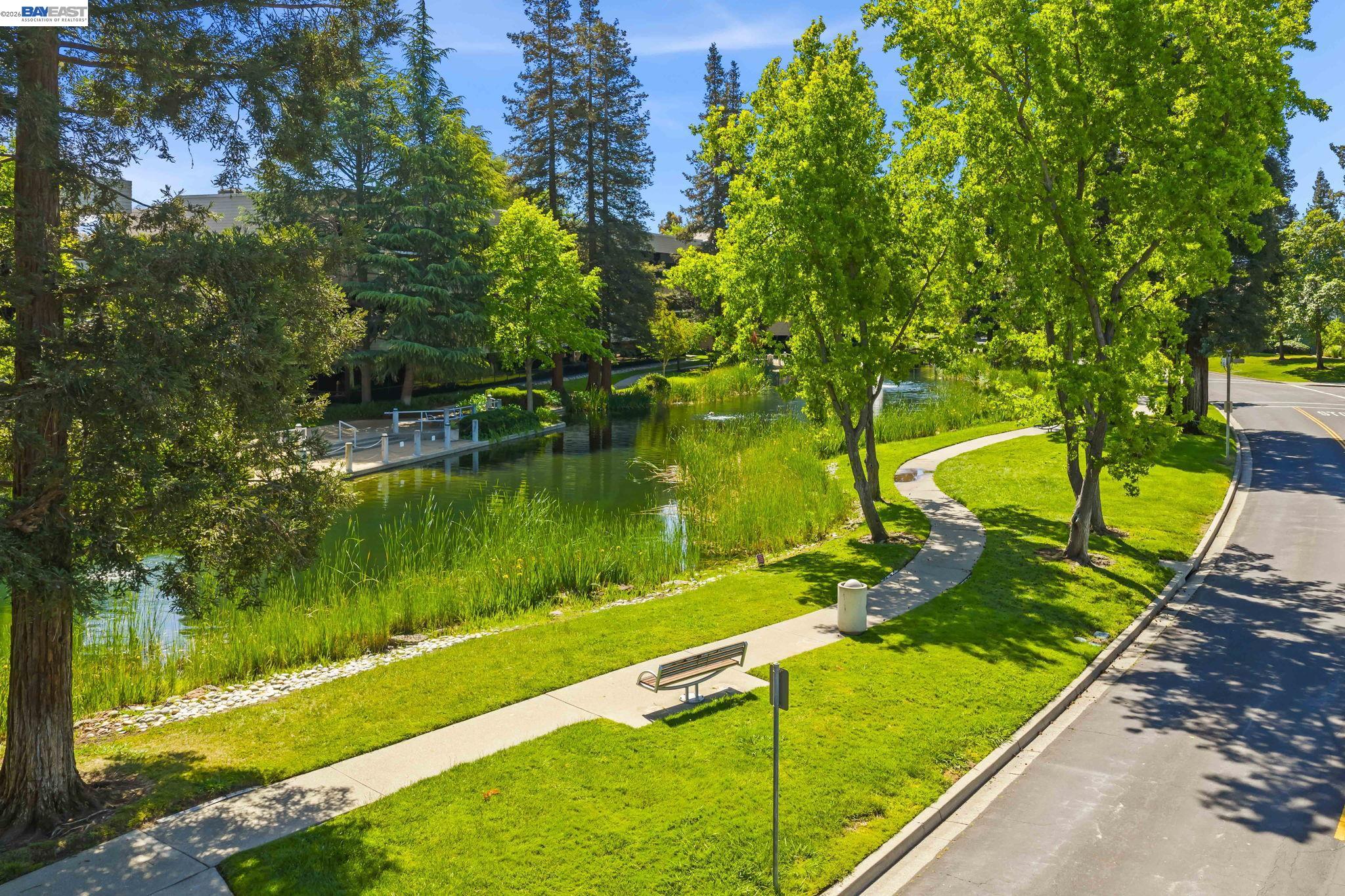 Photo #51: 41131602 Listing: Photo #51