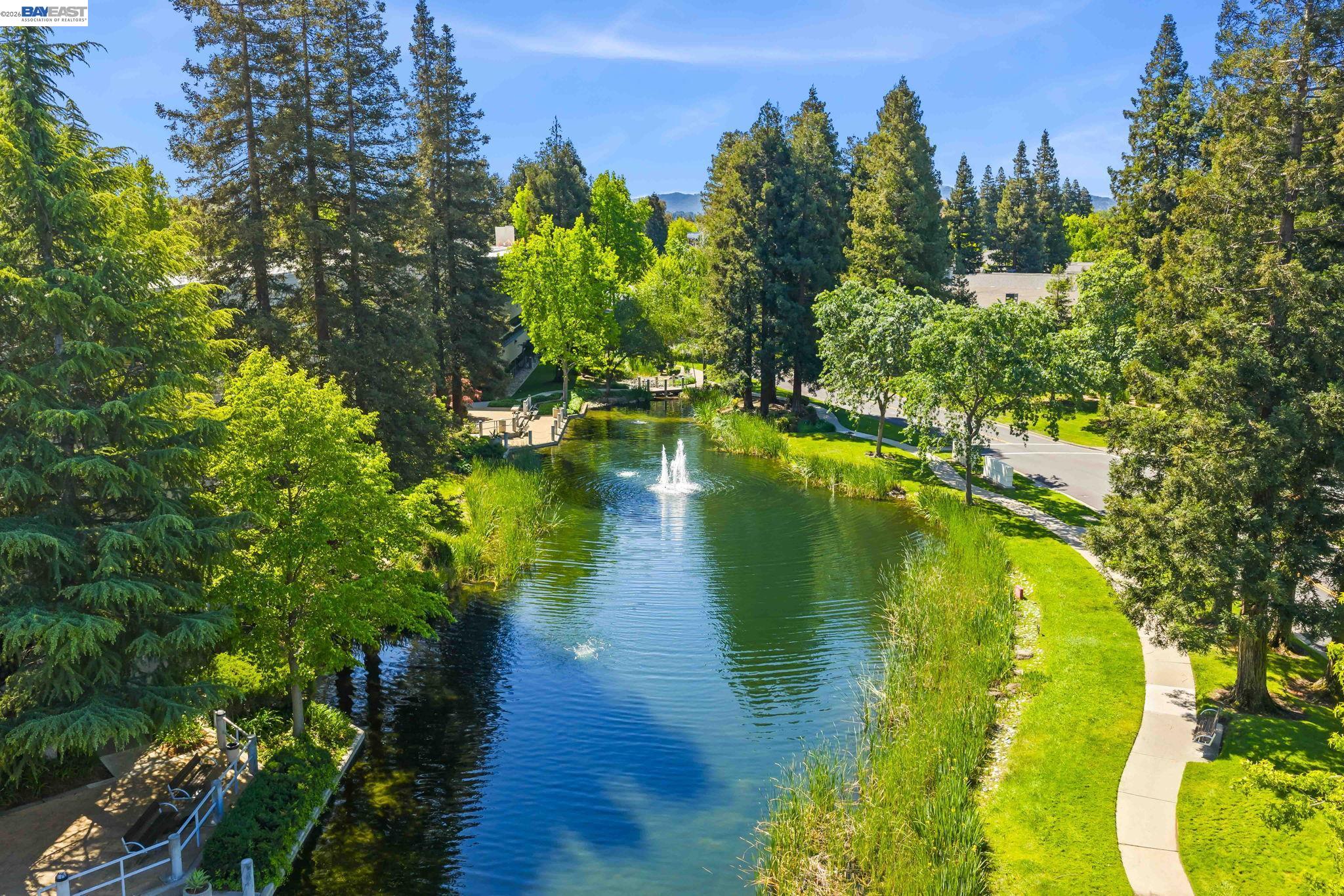 Photo #52: 41131602 Listing: Photo #52